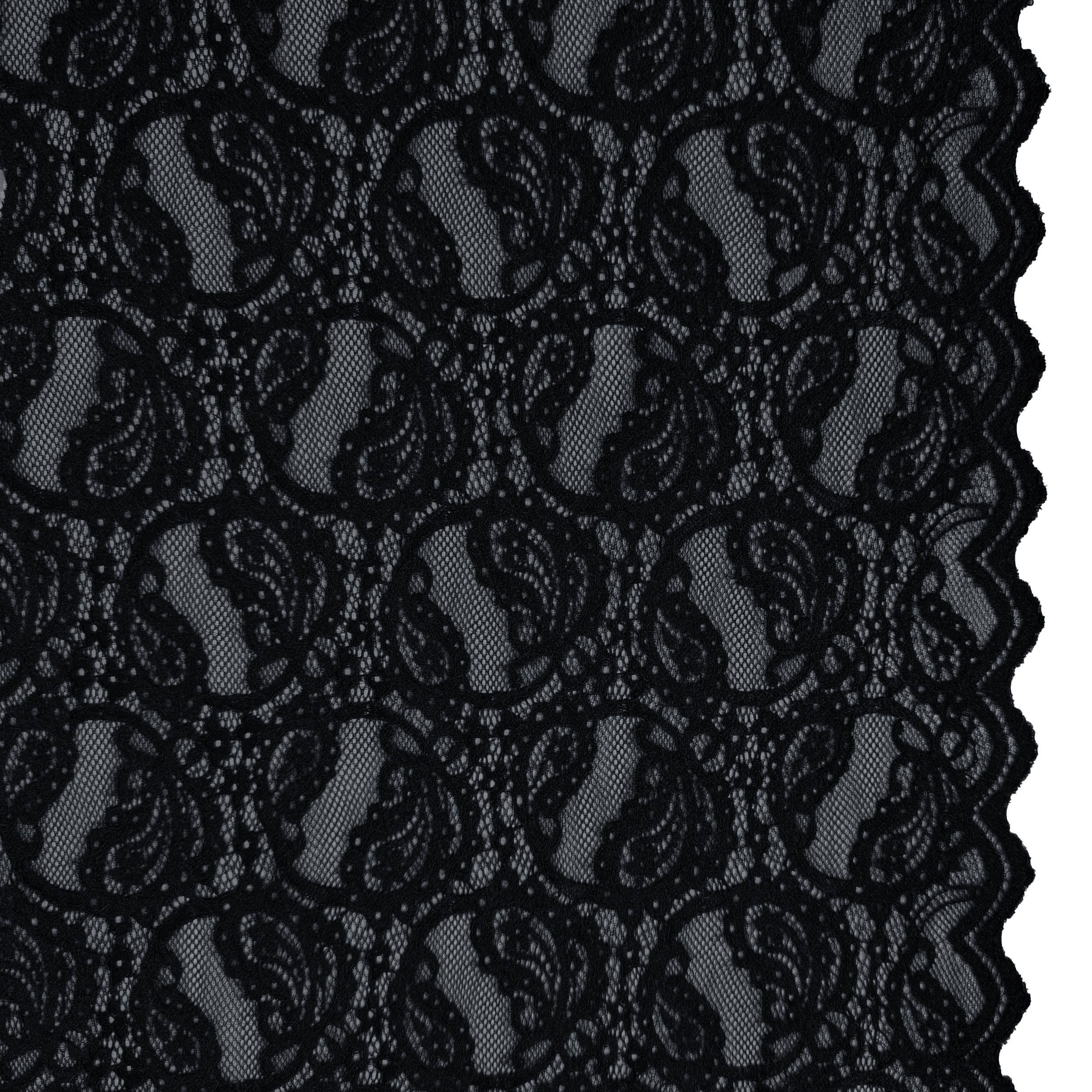 Pizzo Doppio Bordo Bielastico Nero Image