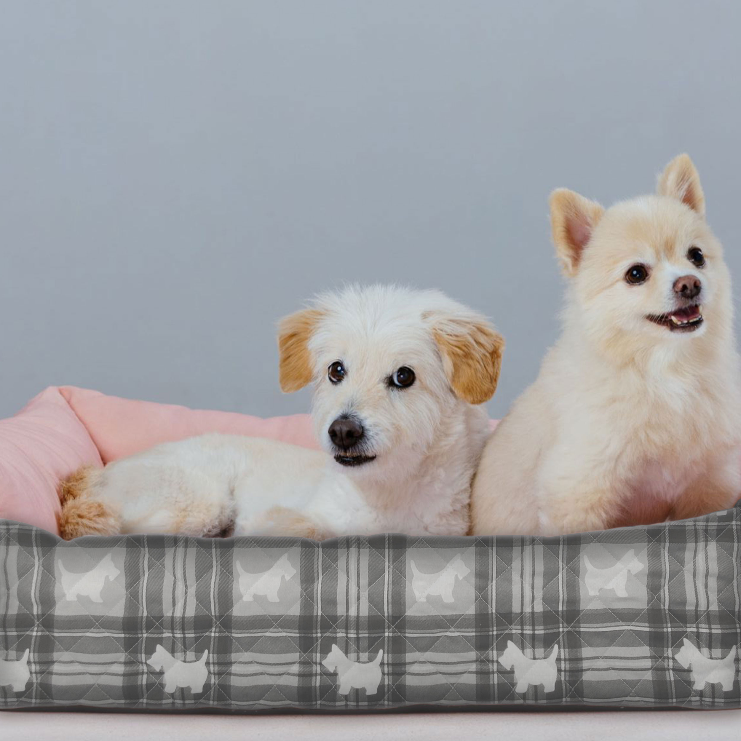 trapunta-cagnolini-sfondo-tartan-bianco-e-nero-per-cuccia