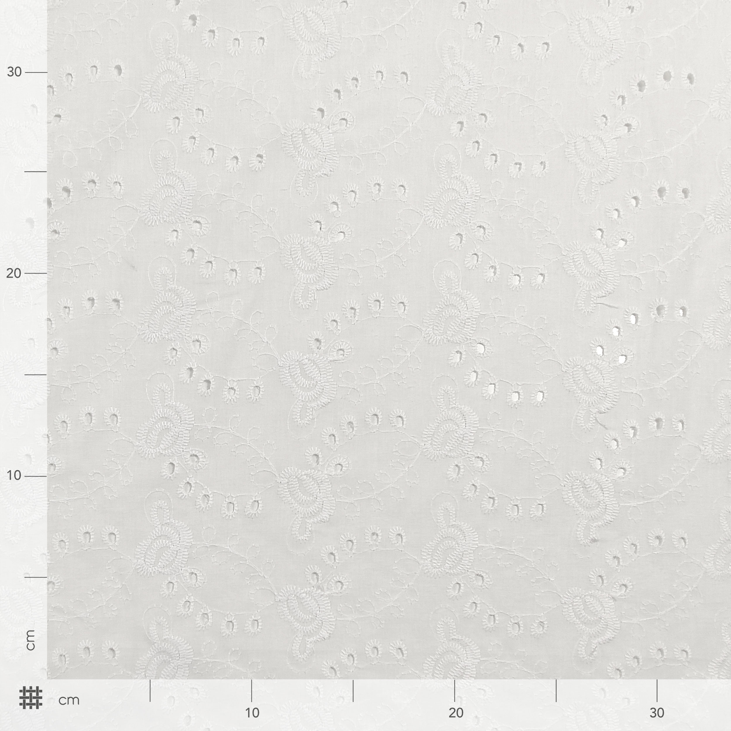Sangallo di Cotone Bianco Roselline Image