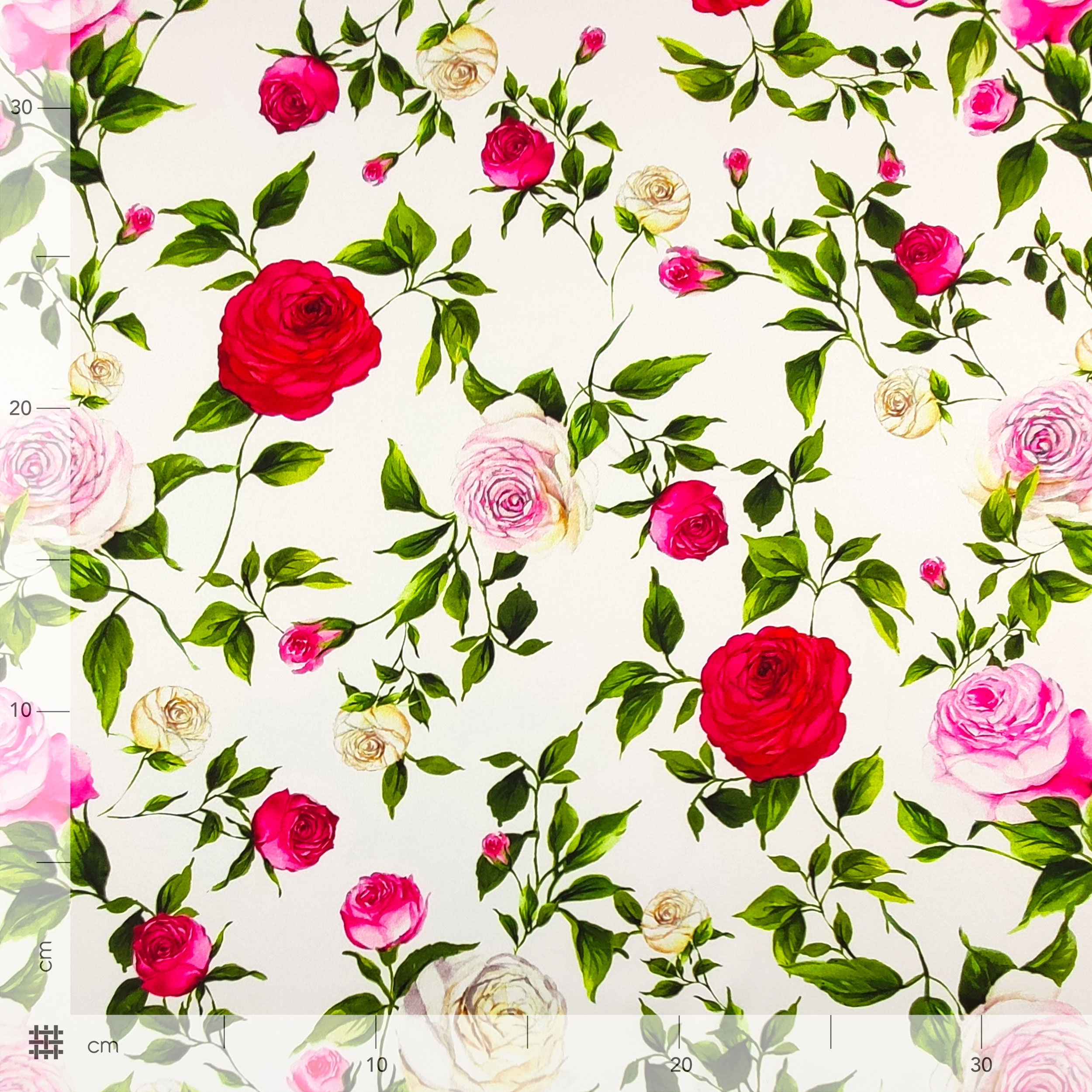 Rasetto Elasticizzato Setato Rose Sfondo Bianco