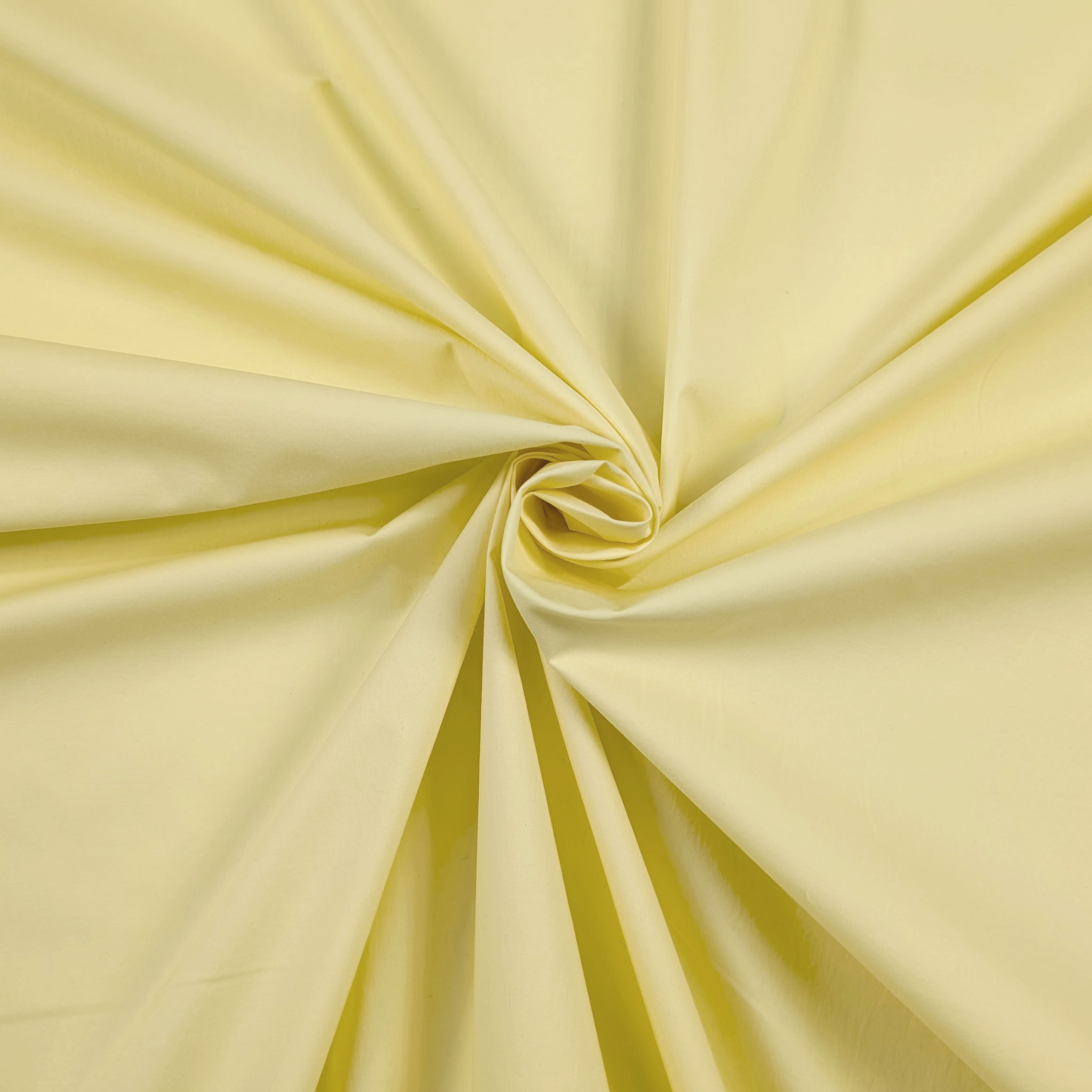 Cotone Giallino Image