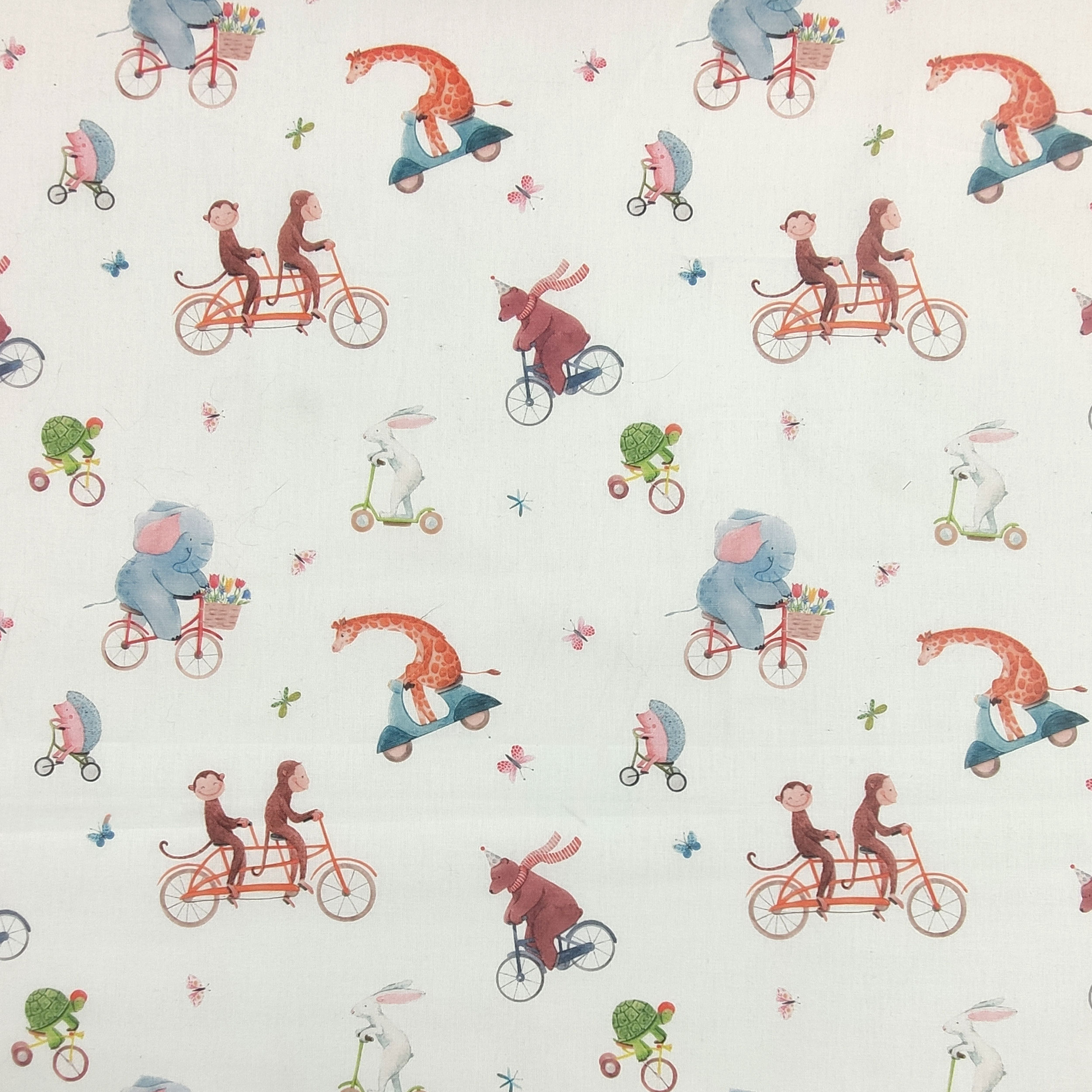 Cotone Animali in Bicicletta