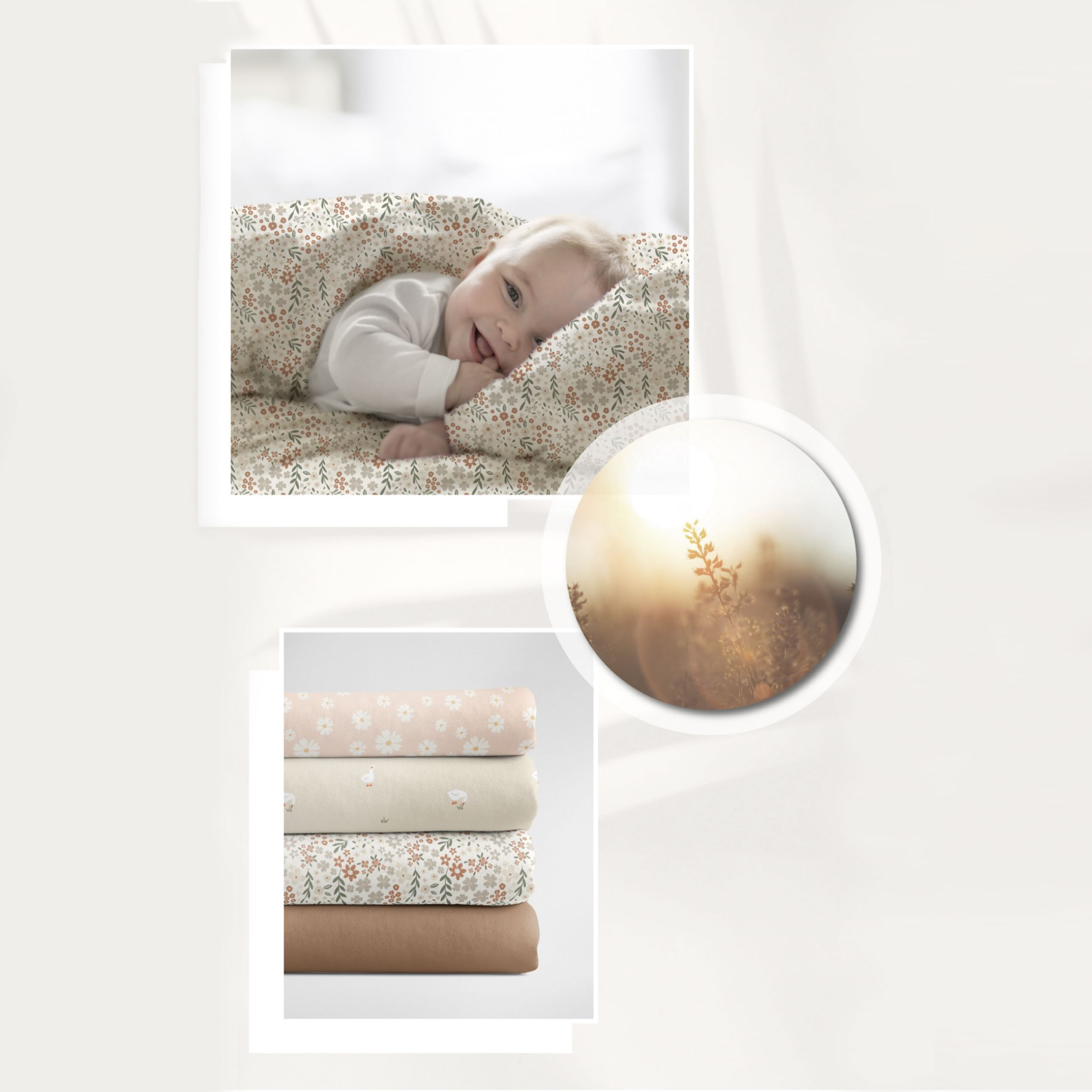 Popeline Cotone Fiorellini Beige e Panna Image