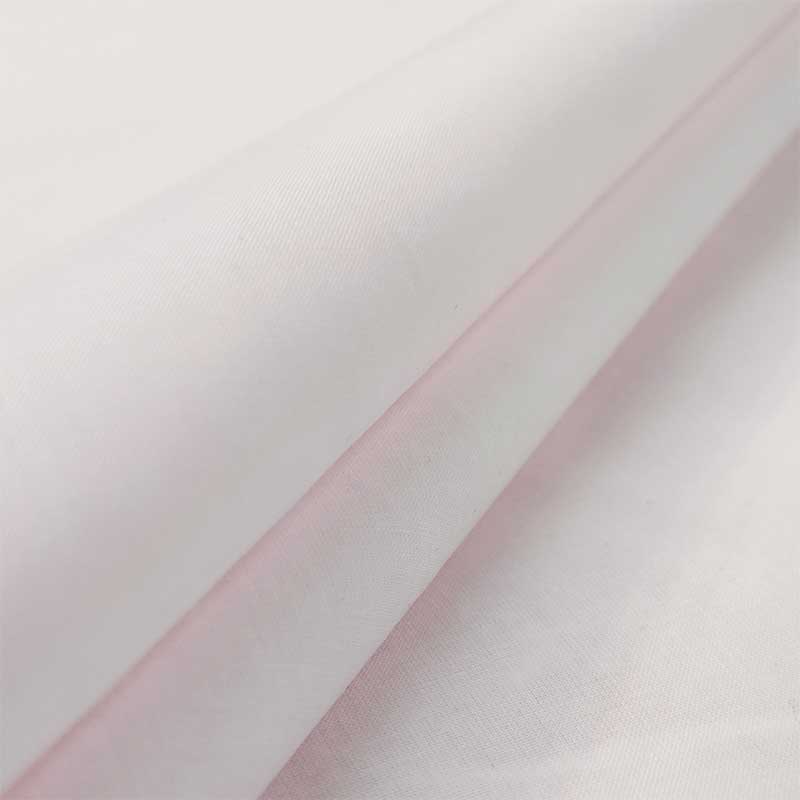 batista-cotone 4