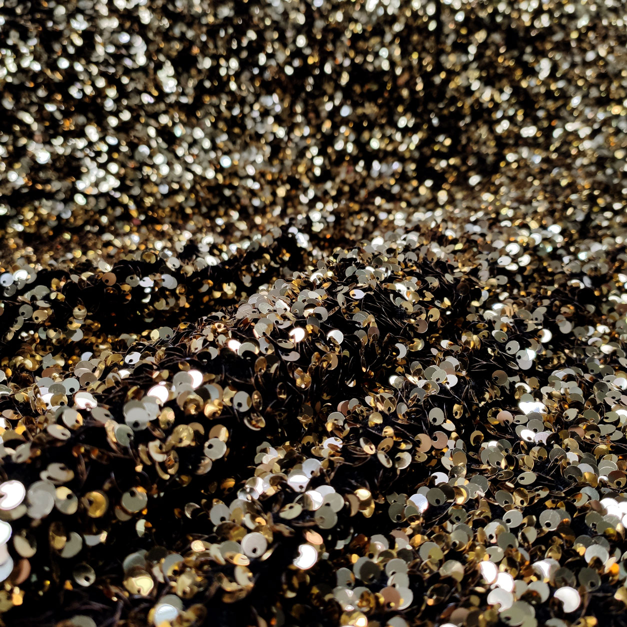 vellutina-paillettes-oro 1