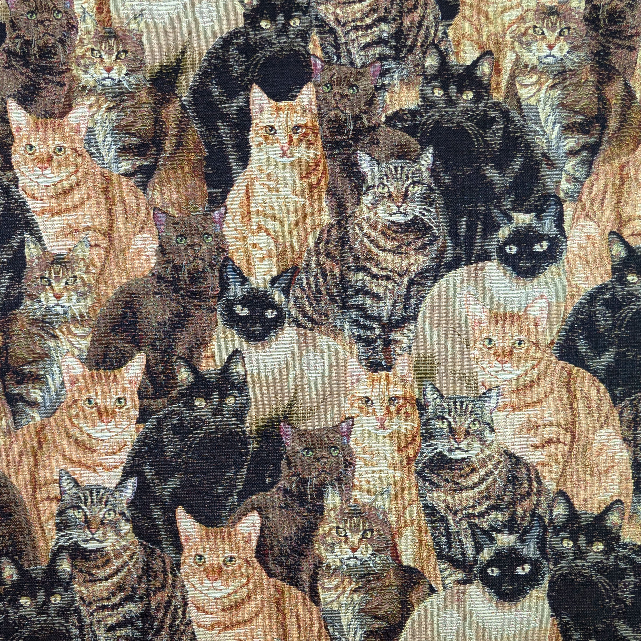 Tessuto Gobelin Fantasia Gatti Image