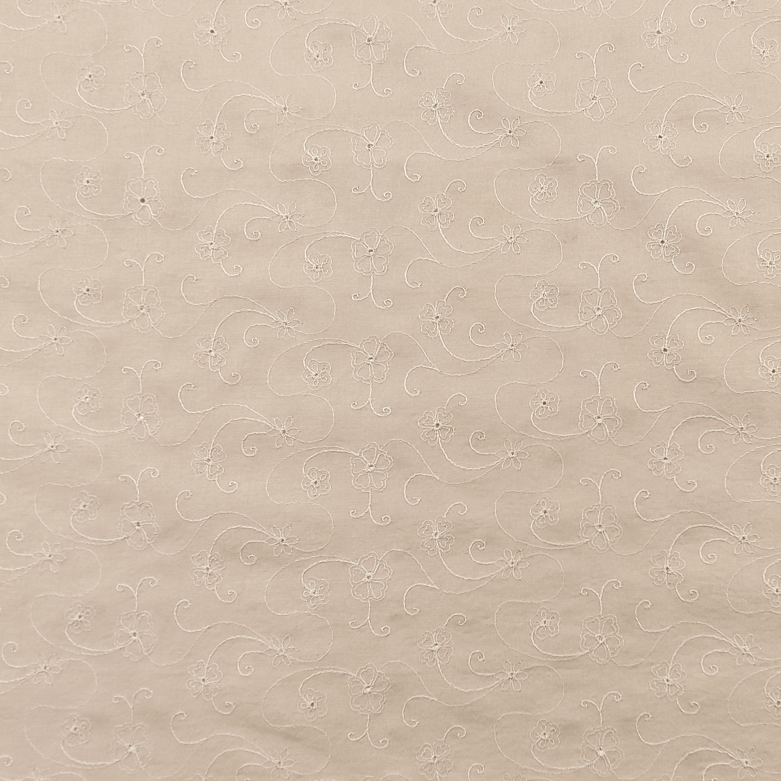 Cotone Sangallo Beige