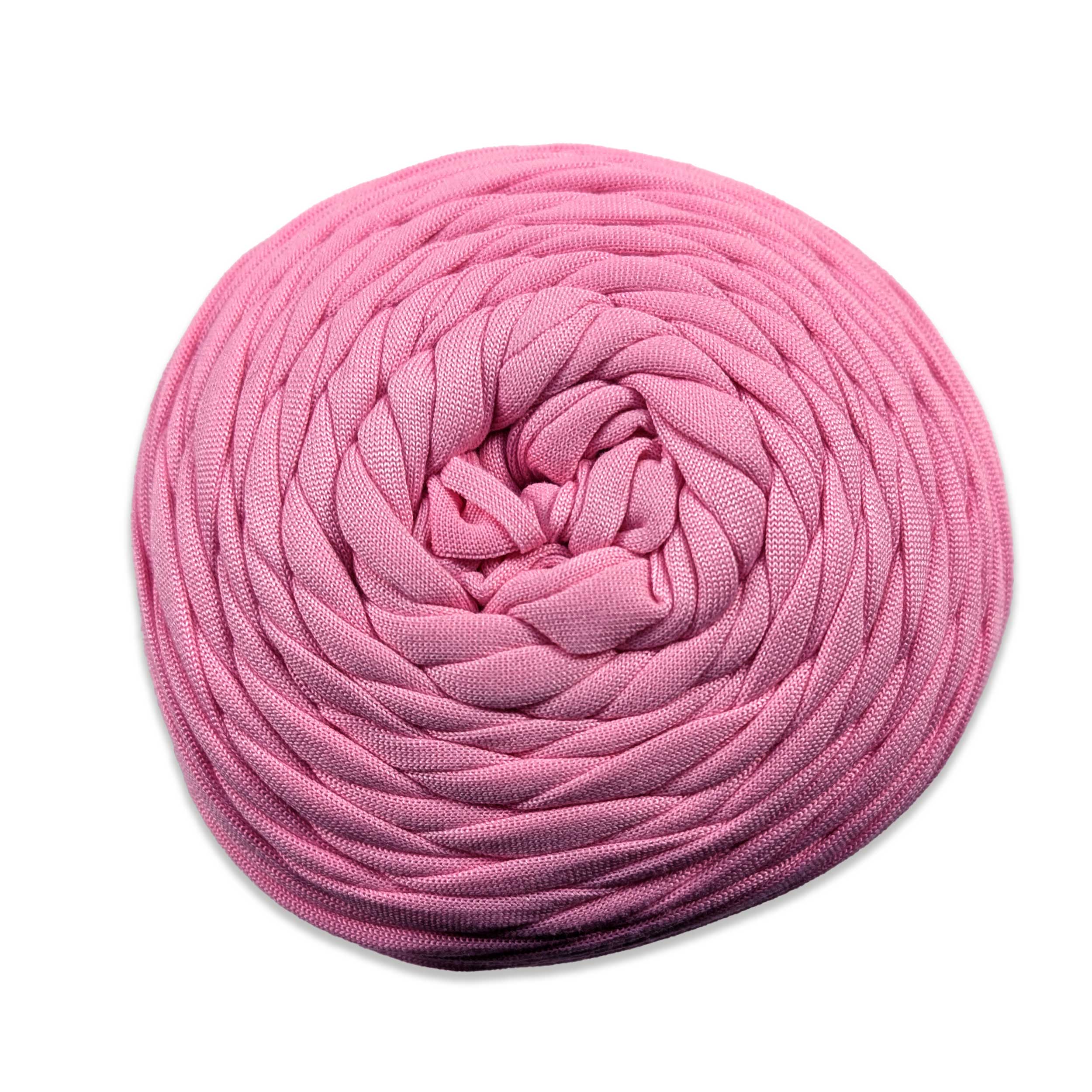Rosa - 61