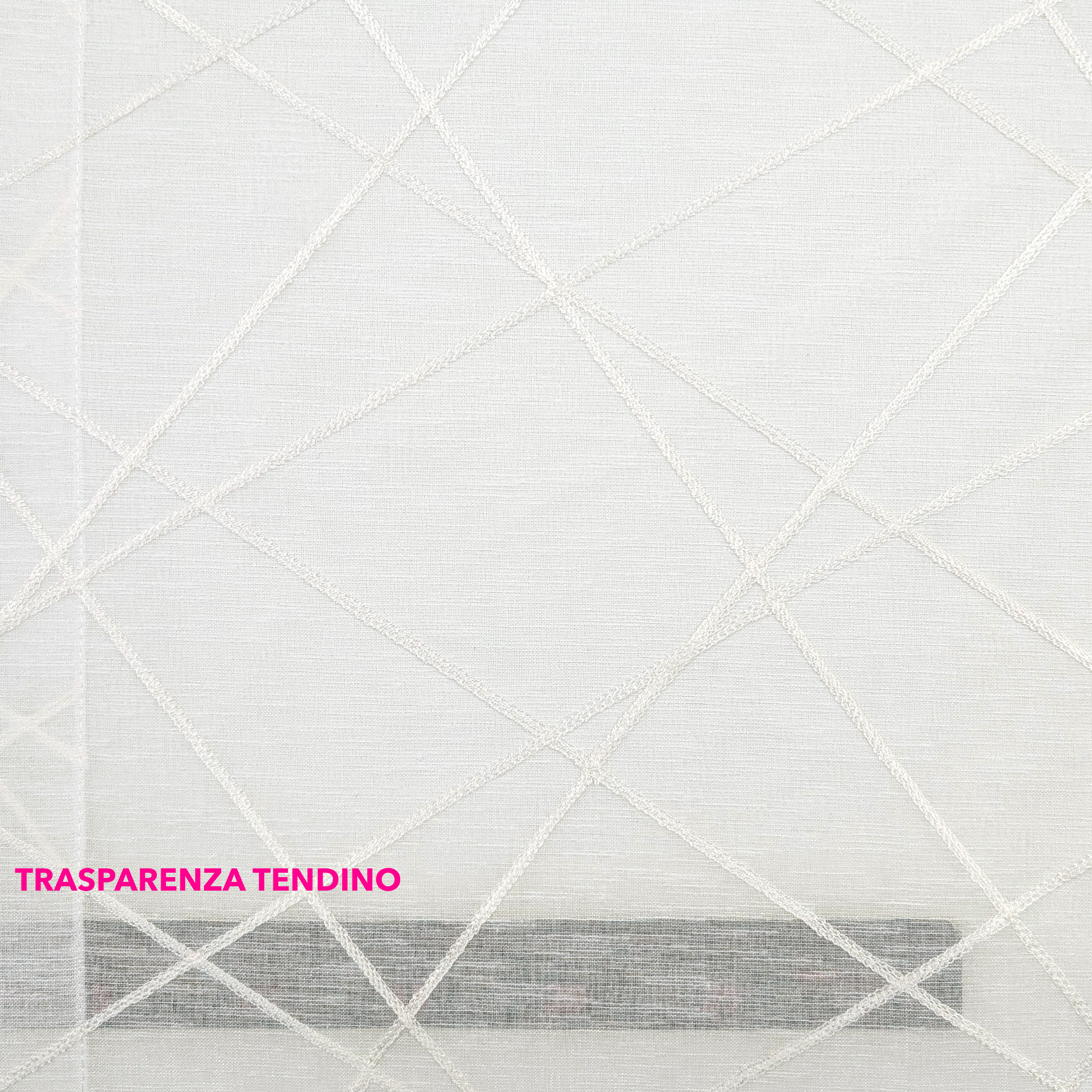 Tessuto Tendino Linee Bianche Ricamate Image