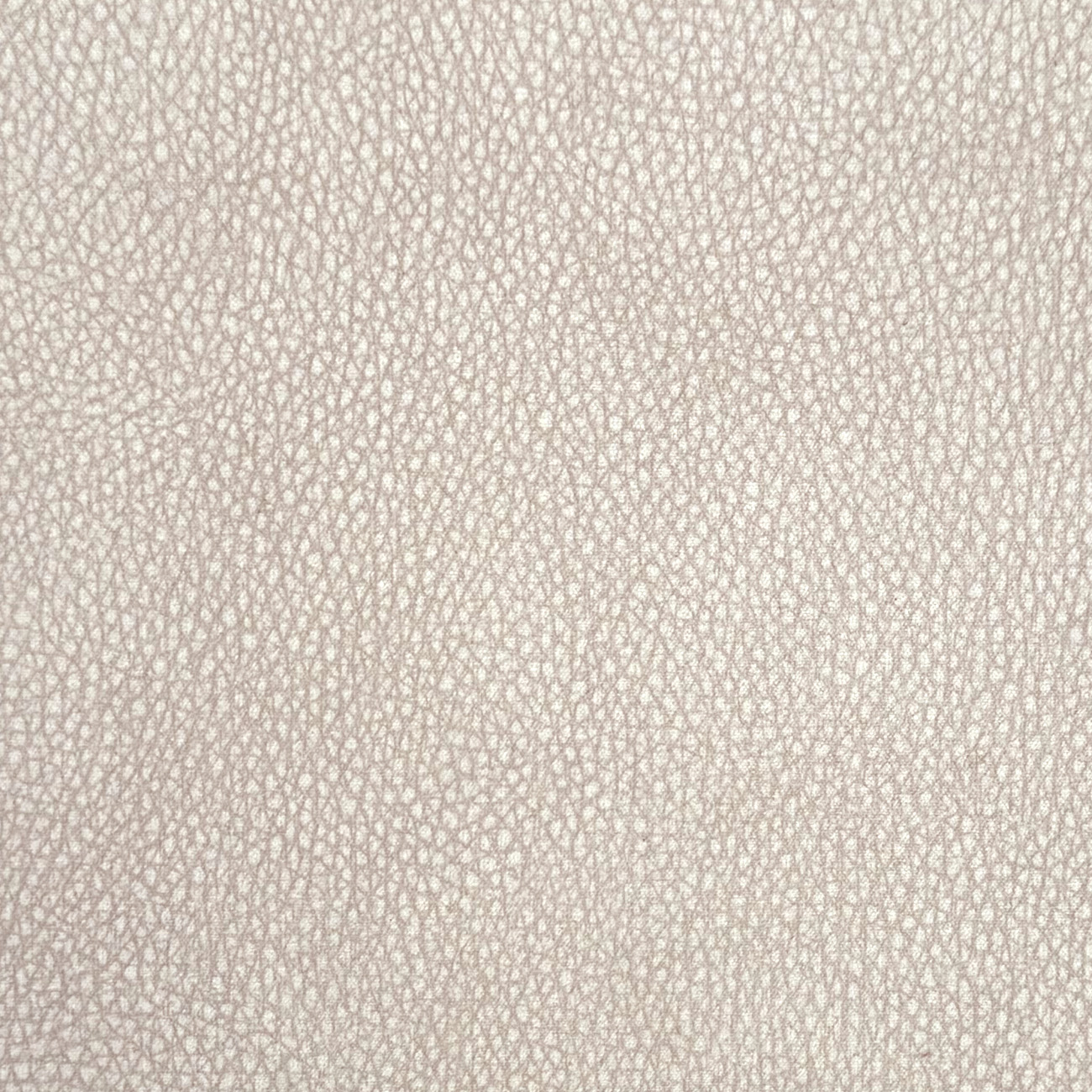 Latte - 01