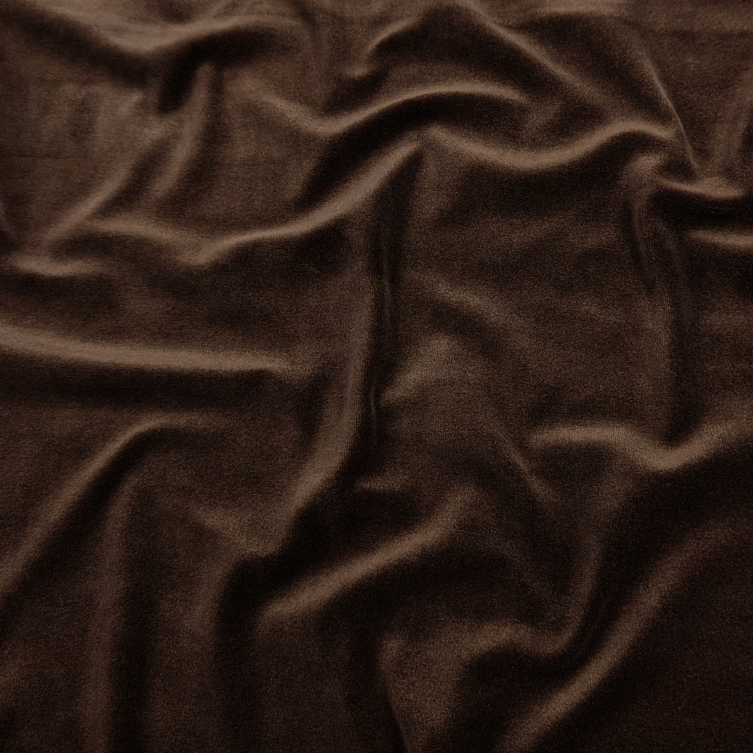 Vellutina Cotone Marrone Image