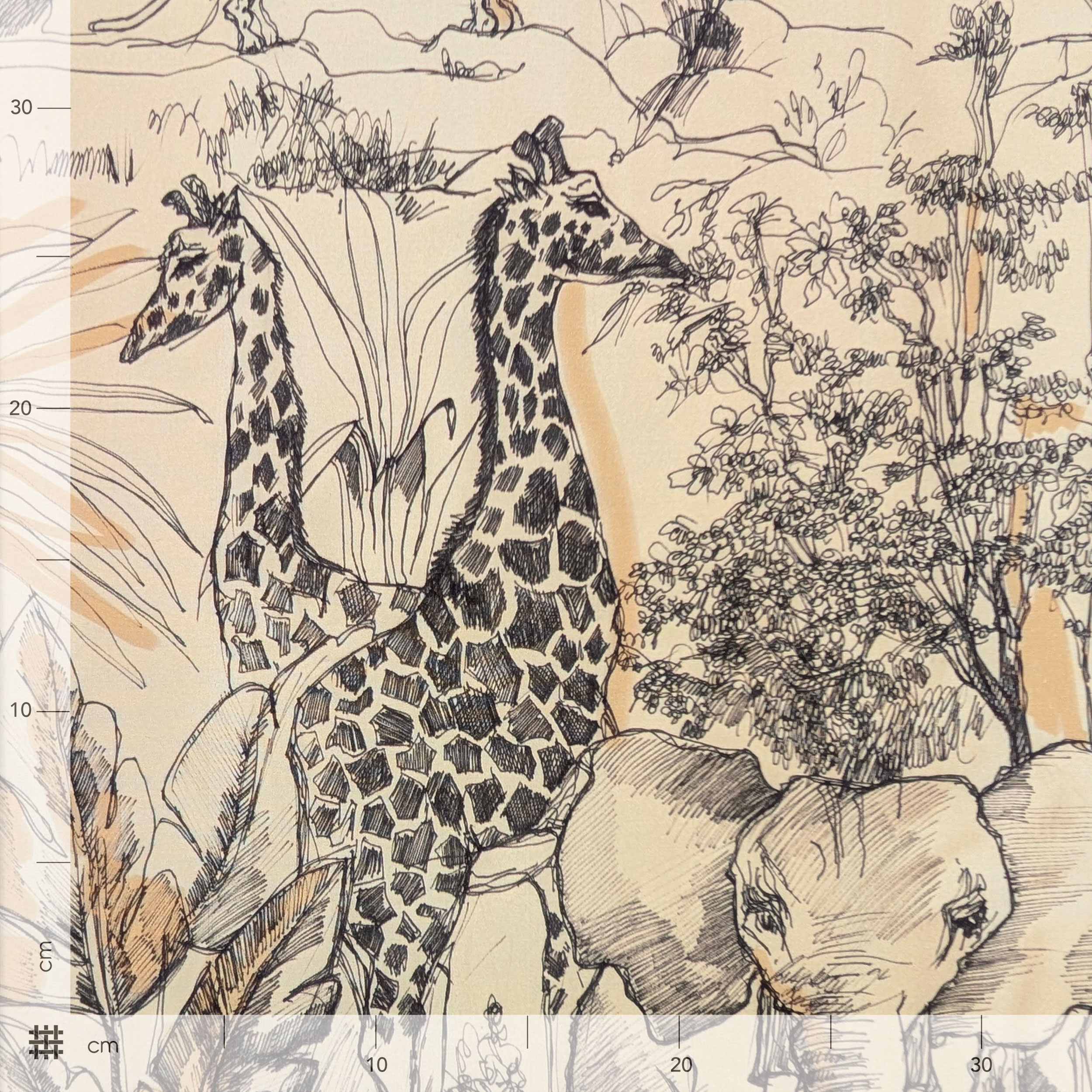 Cotone Safari Image