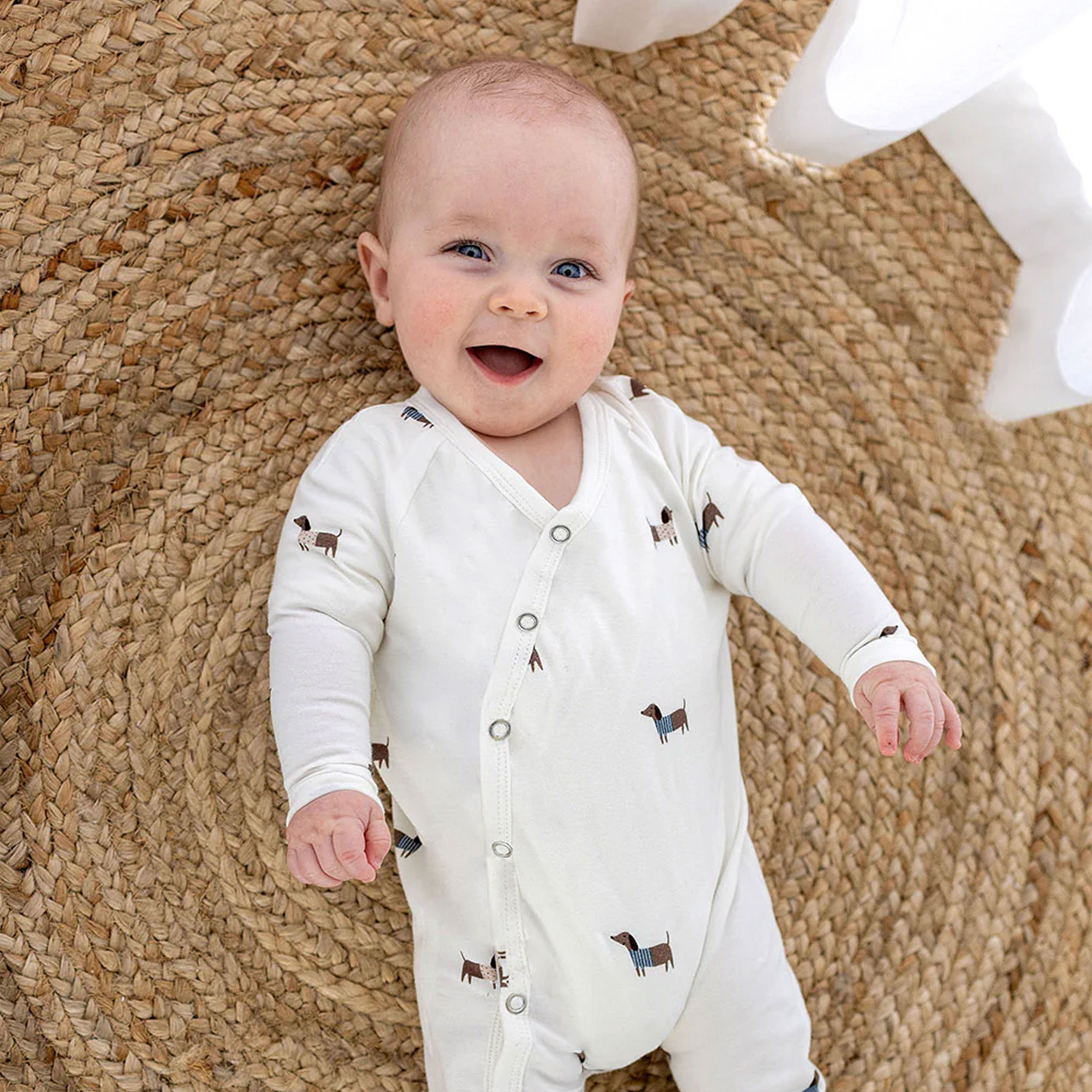 Jersey Cotone Bianco Dolci Bassotti Image