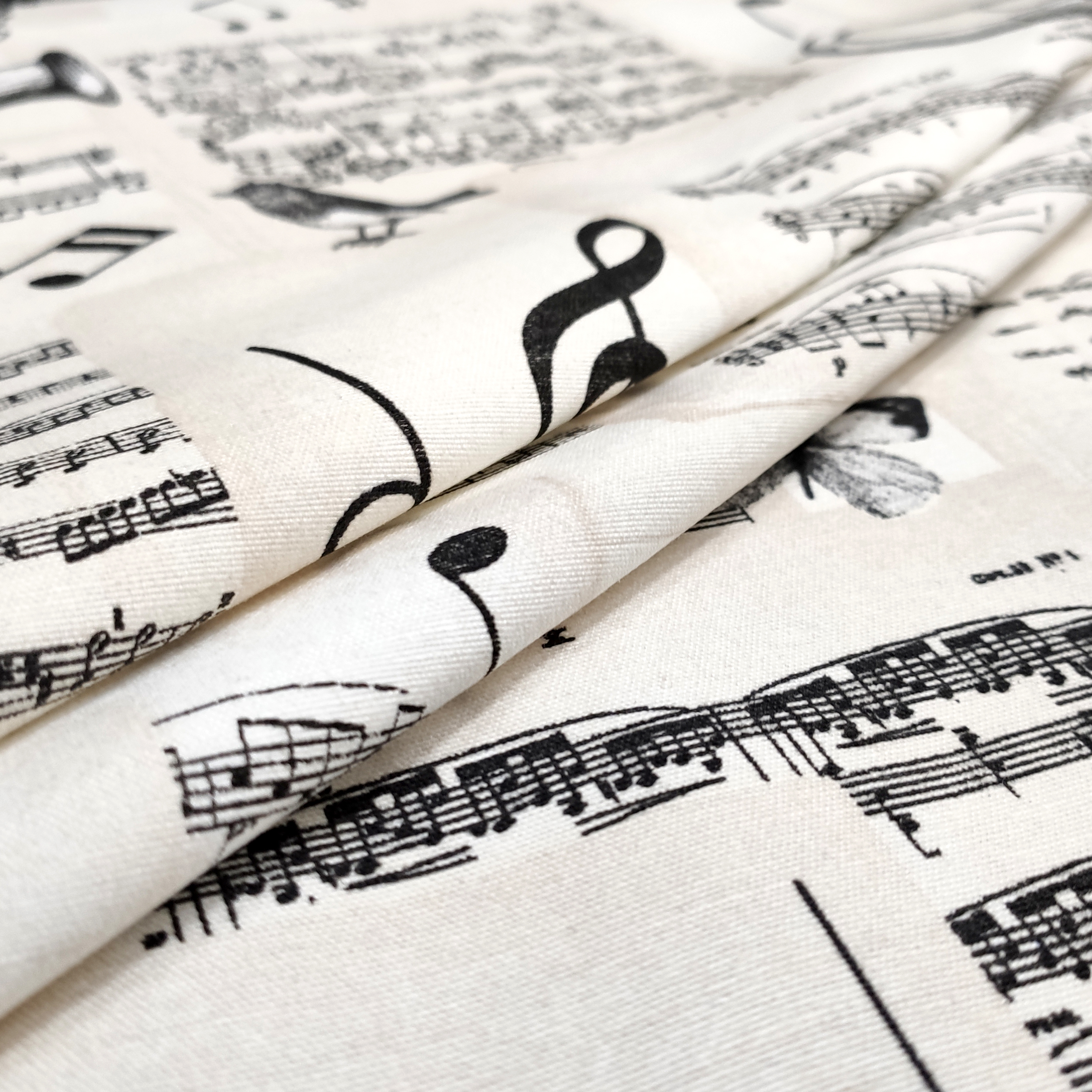 fantasia-note-musicali