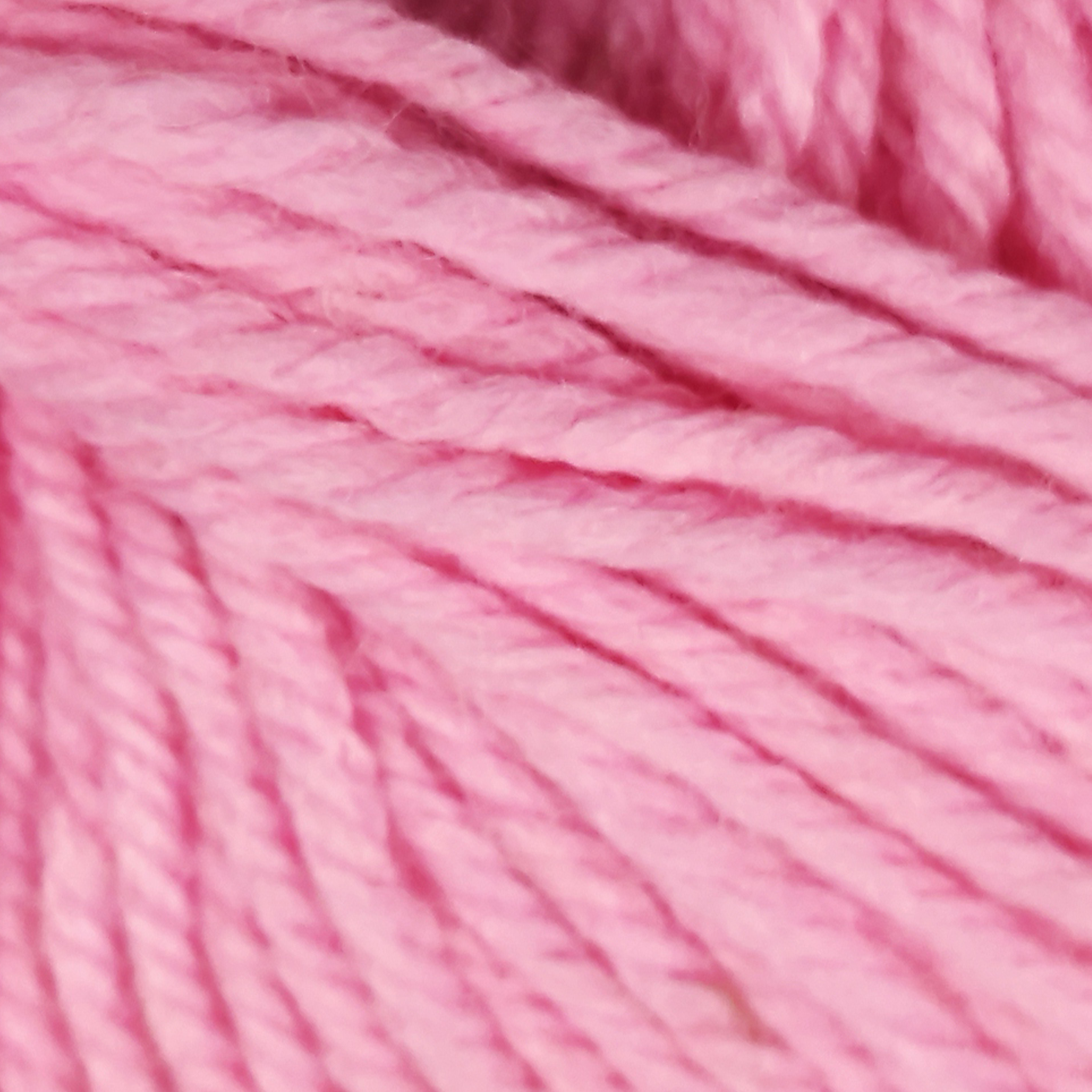 Rosa - 6823