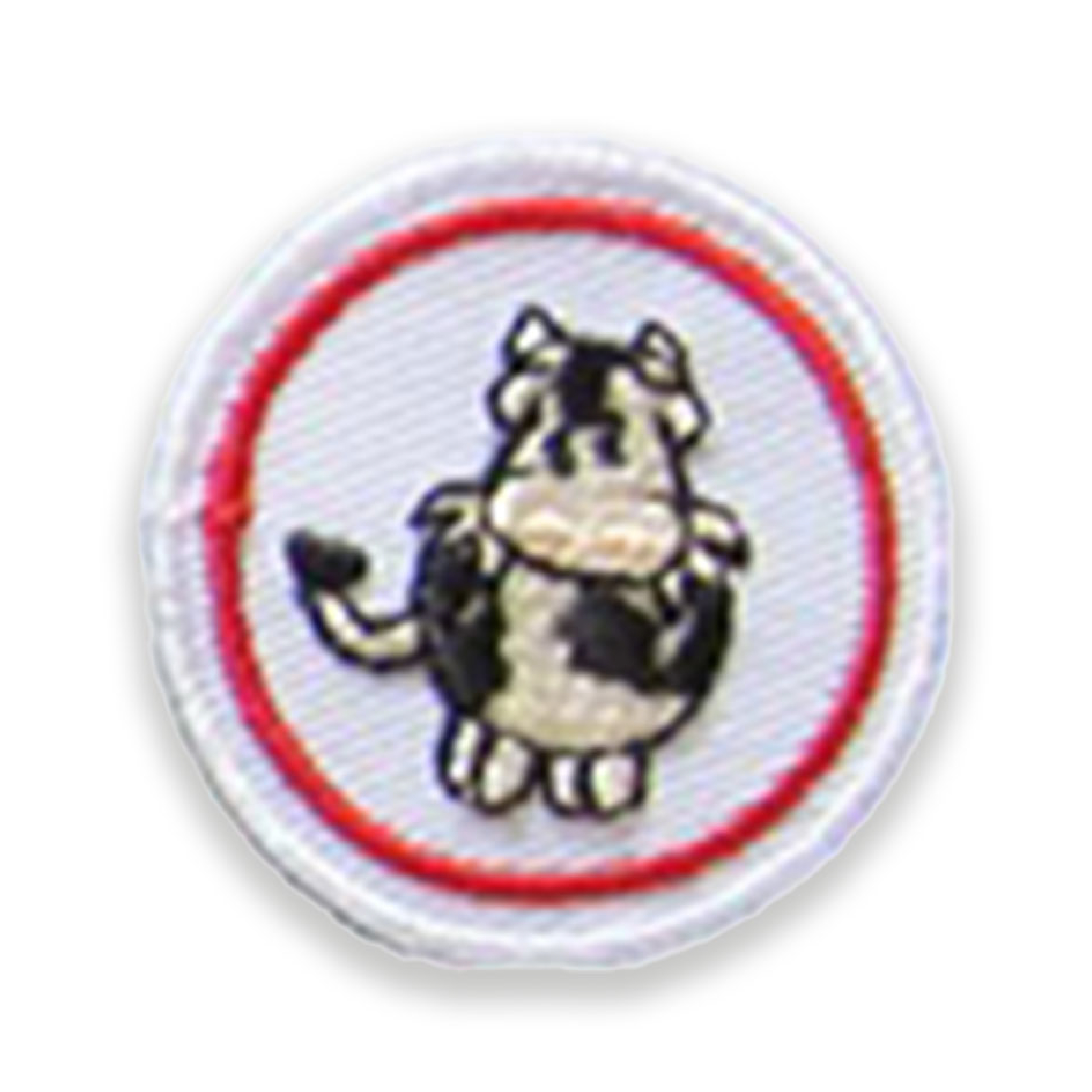 Mucca