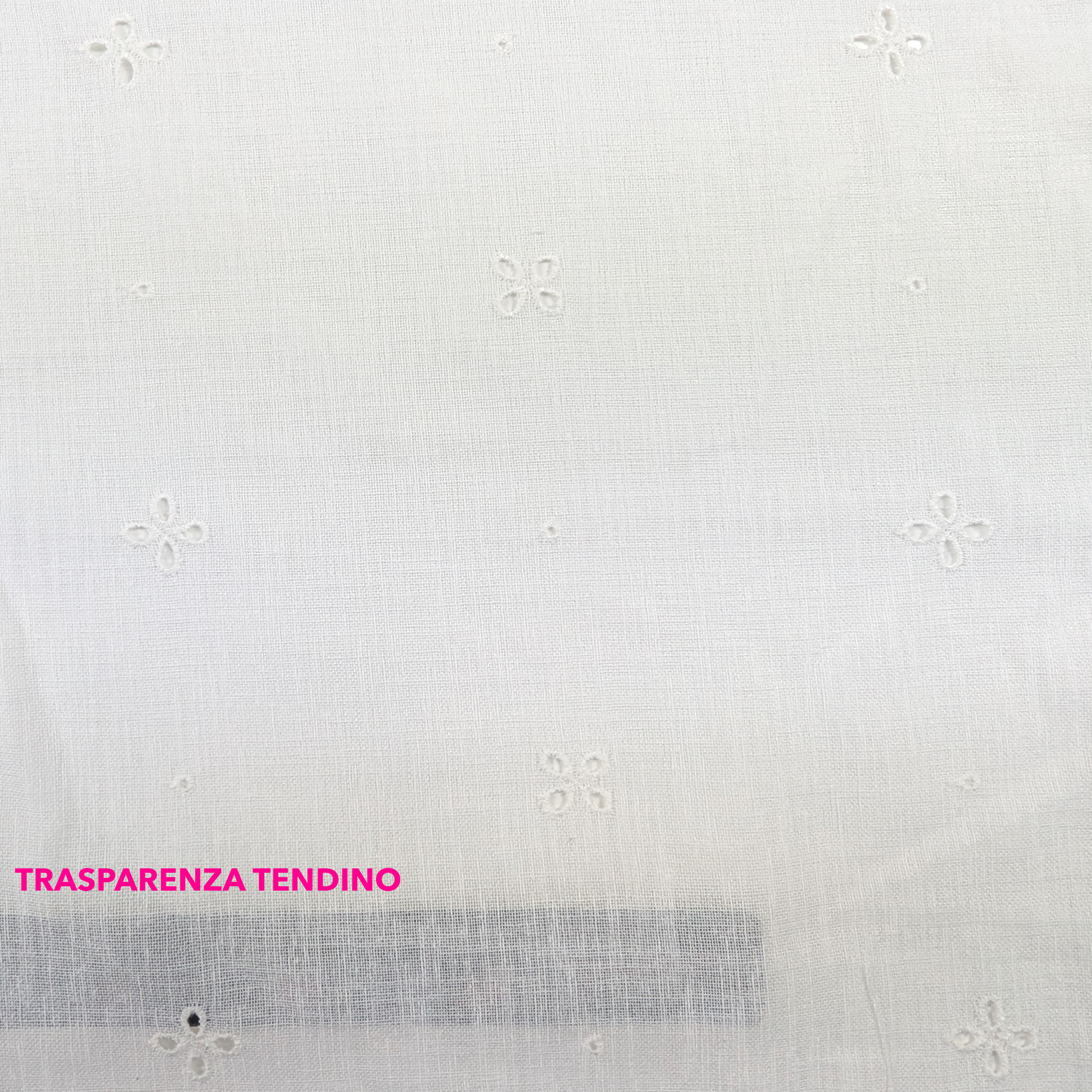 Tessuto Tendino Sangallo Bianco Image