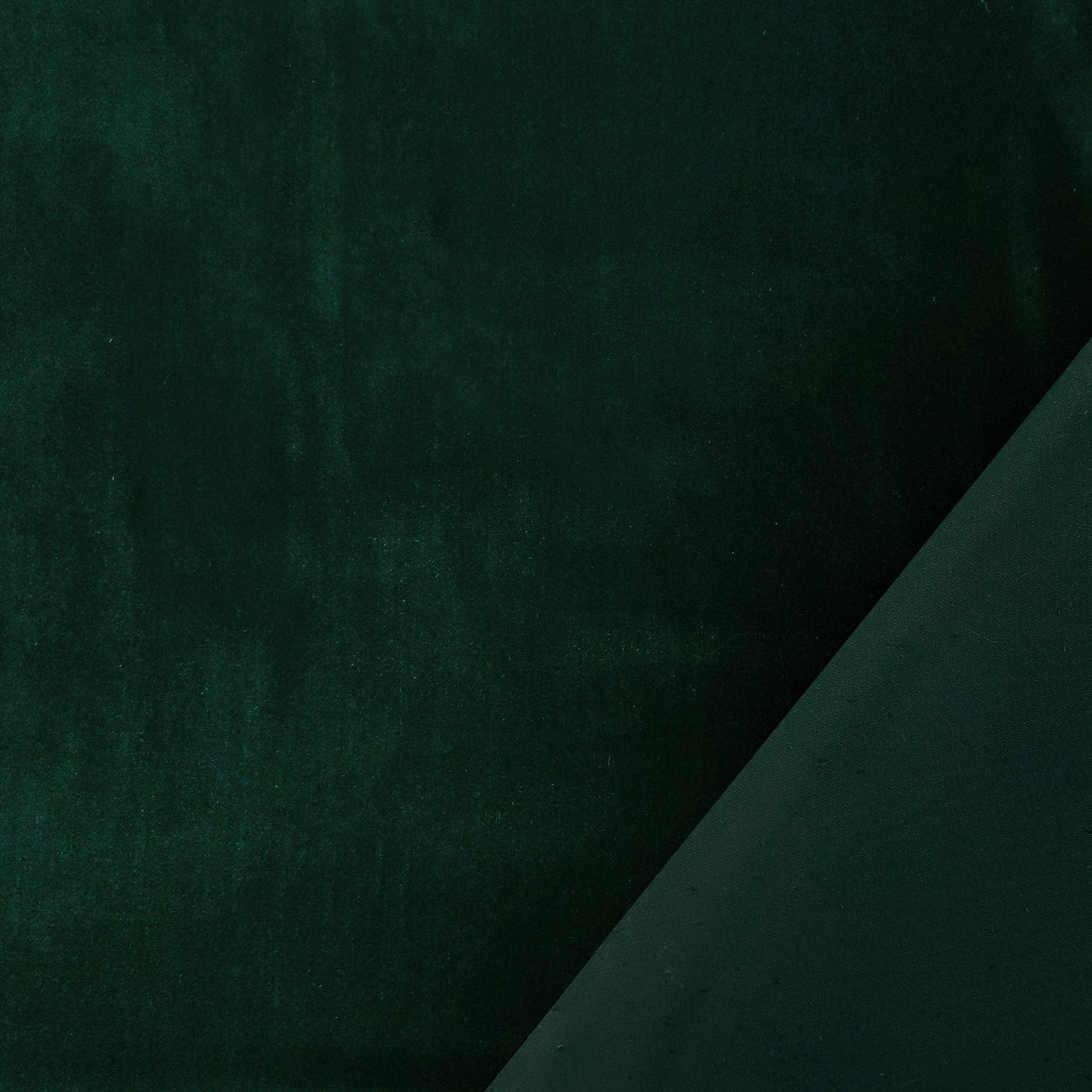 Velluto Cotone Moda Verde Image