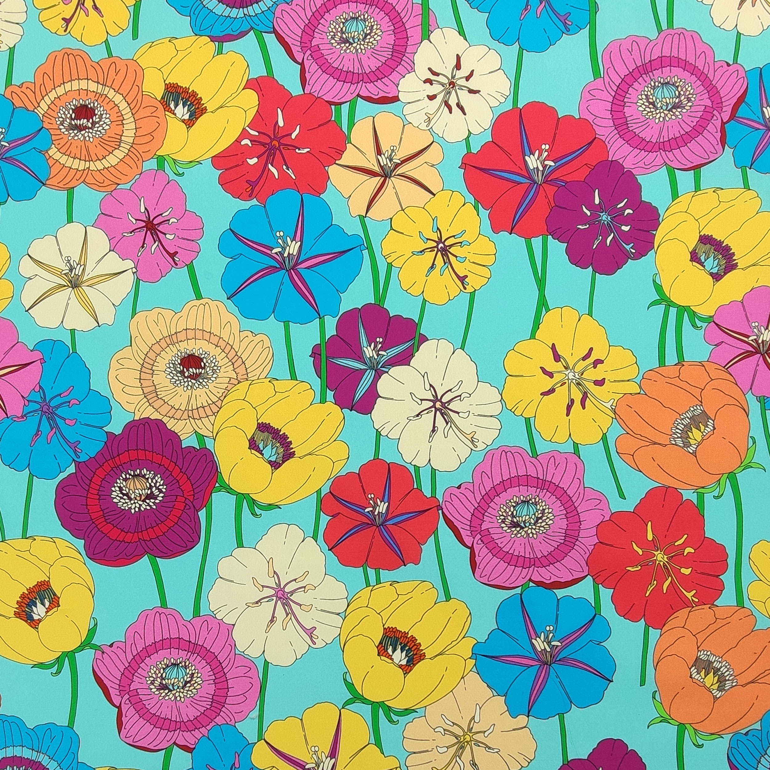 Cotone Fiori Colorati Sfondo Turchese