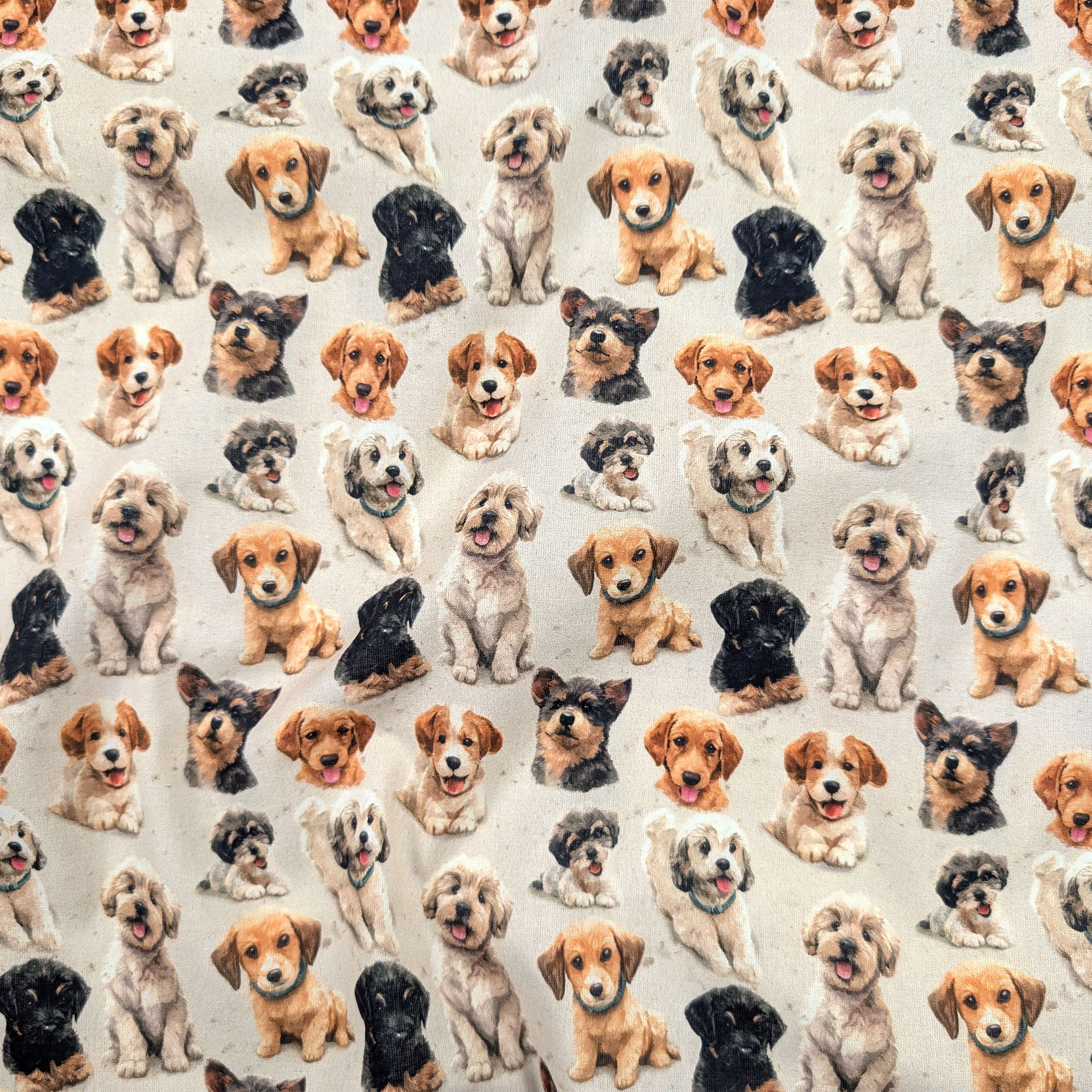 Cotone Fantasia Cagnolini Image