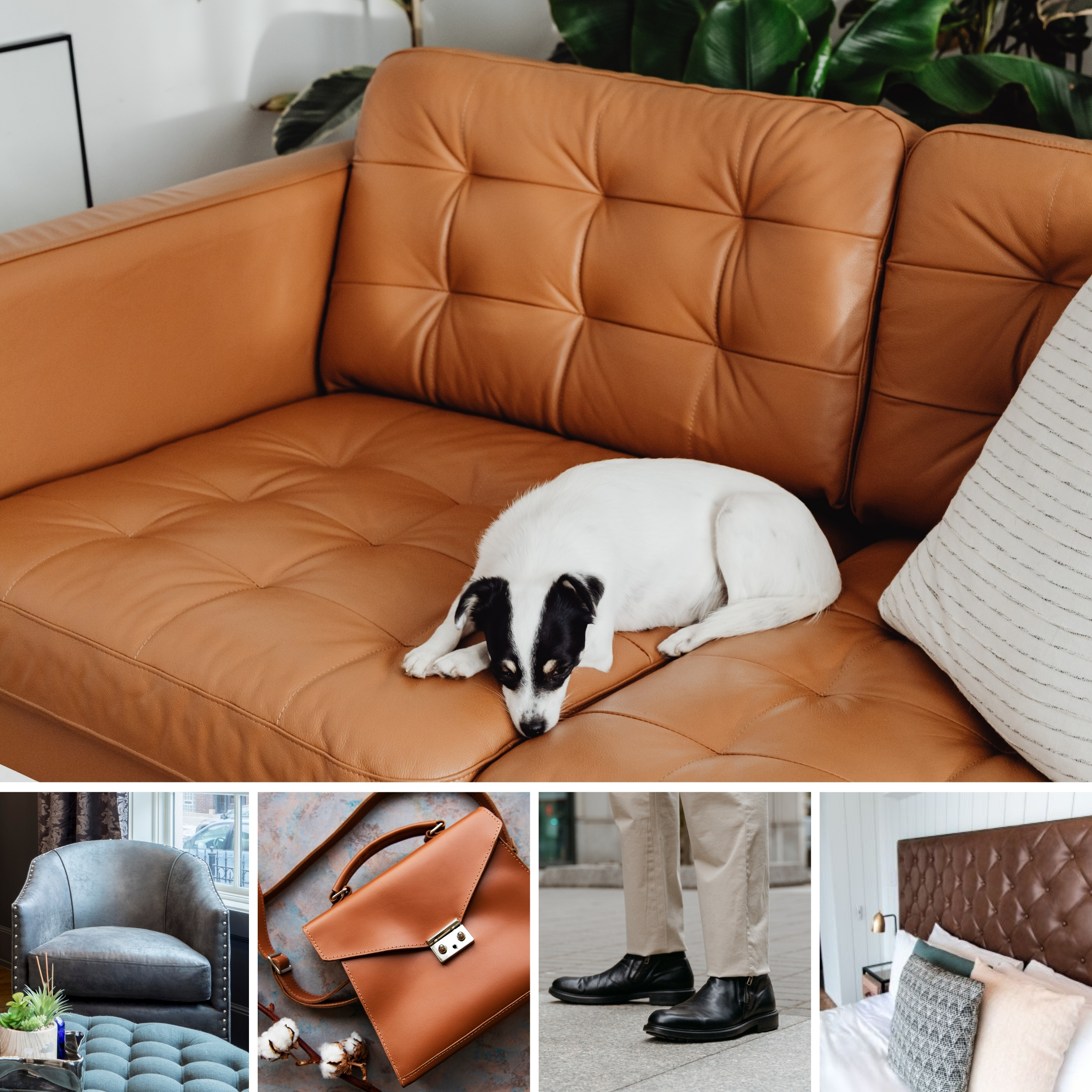 Dai Tessuti Come Togliere La Penna Sulla Pelle Del Divano Kit