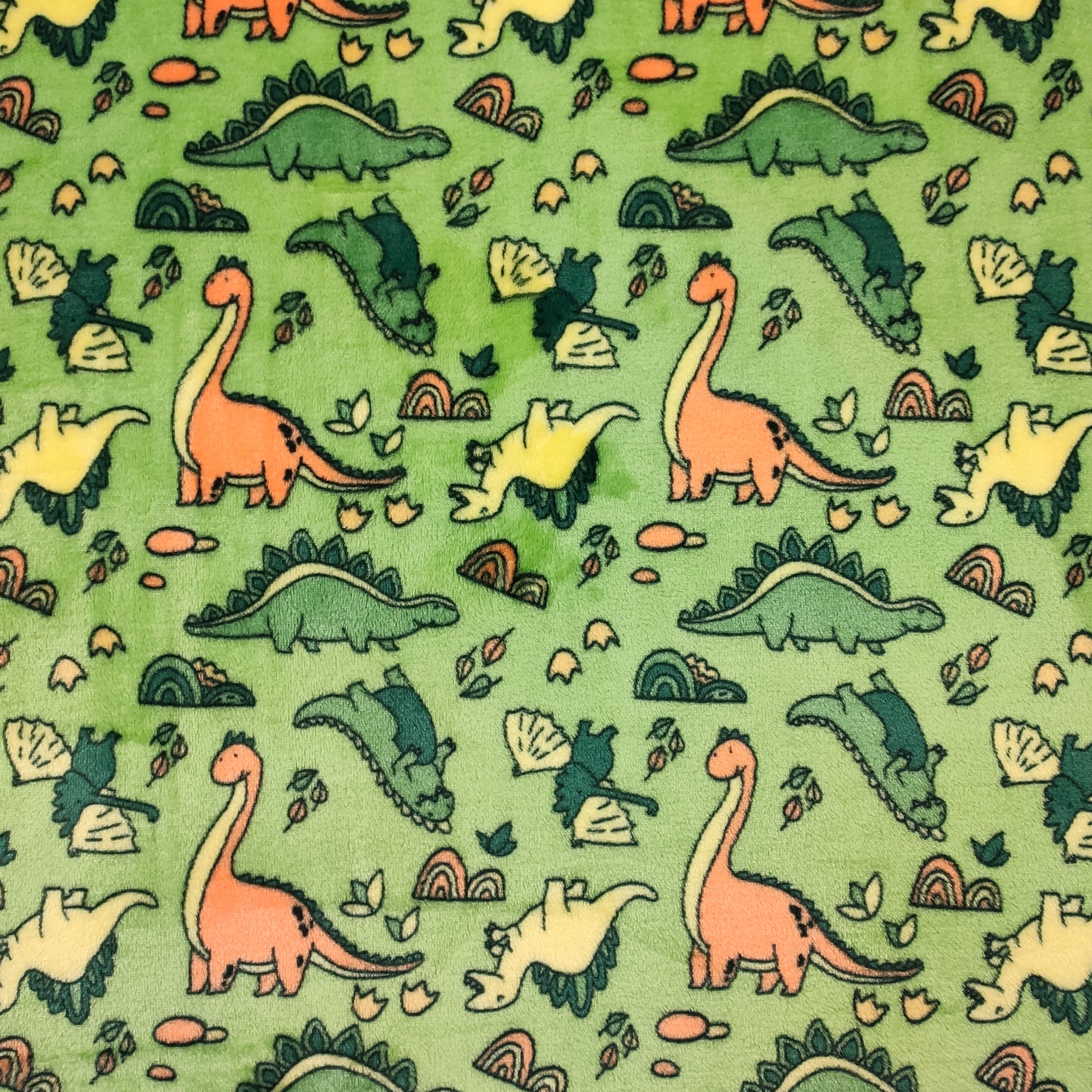 CURIOSITA' PER BAMBINI - I DINOSAURI CURIOSITA' PER BAMBINI - I DINOSAURI
