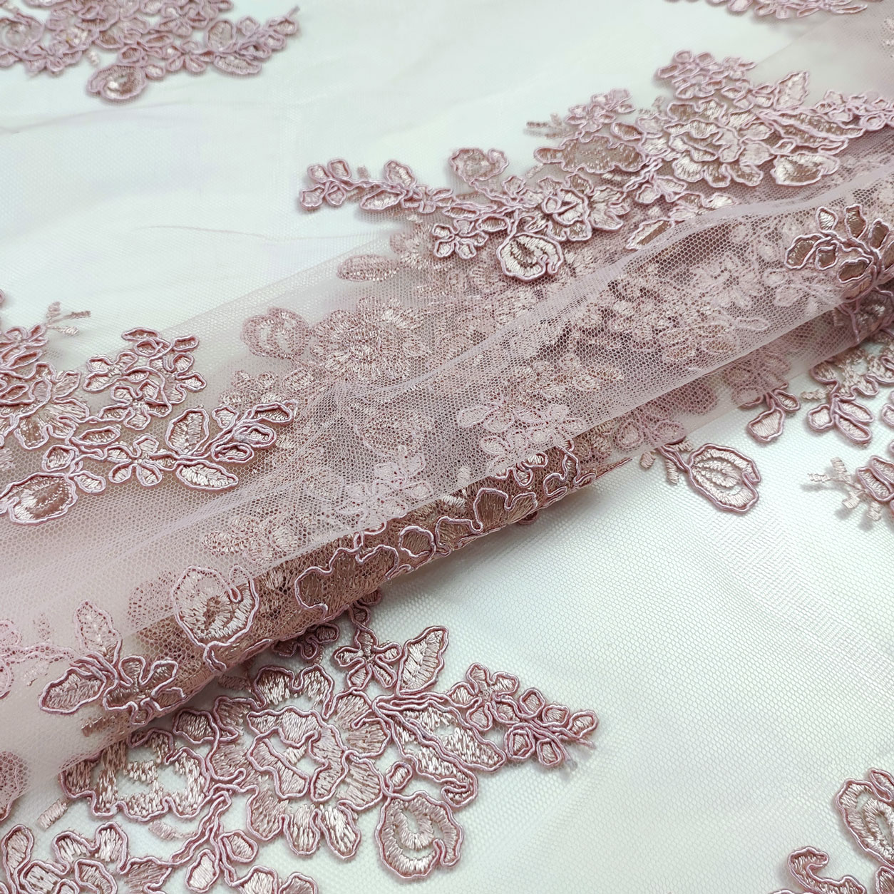 Capesante A Forma Di Ventaglio Immagini E Fotografie Stock Ad Alta - Foto 13