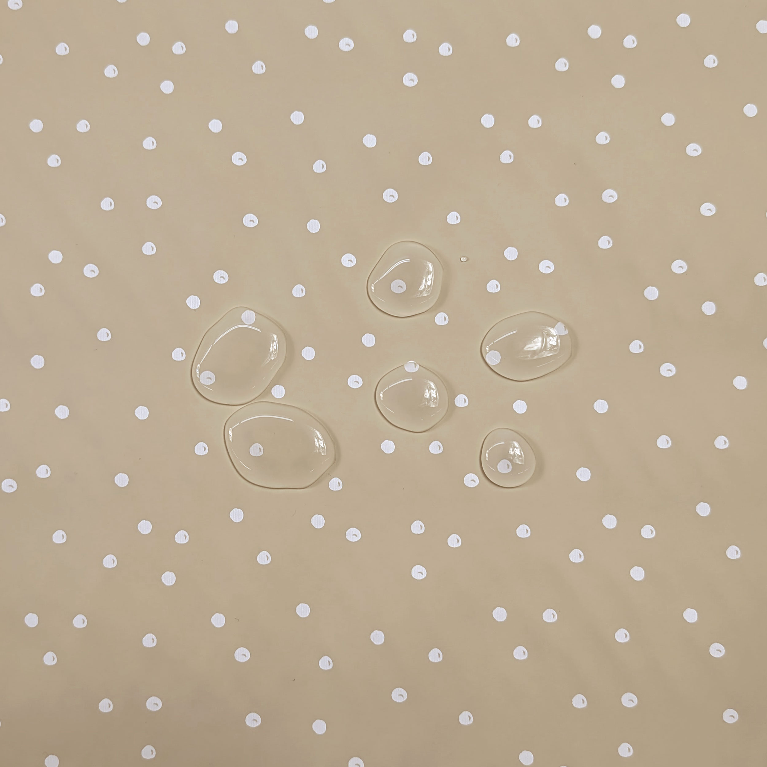 Impermeabile Pois Bianchi Sfondo Beige Image