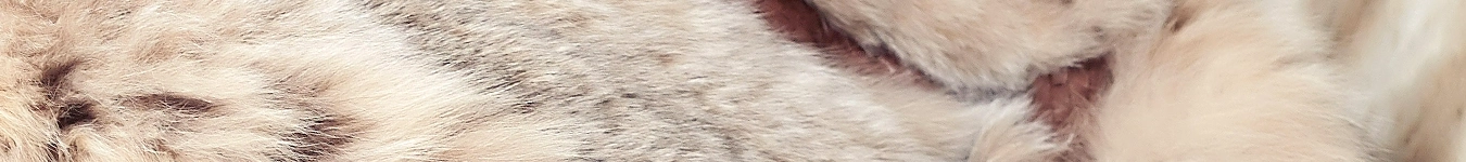 banner4faux-furquattro_1350x150 pelliccia-sintetica-panini
