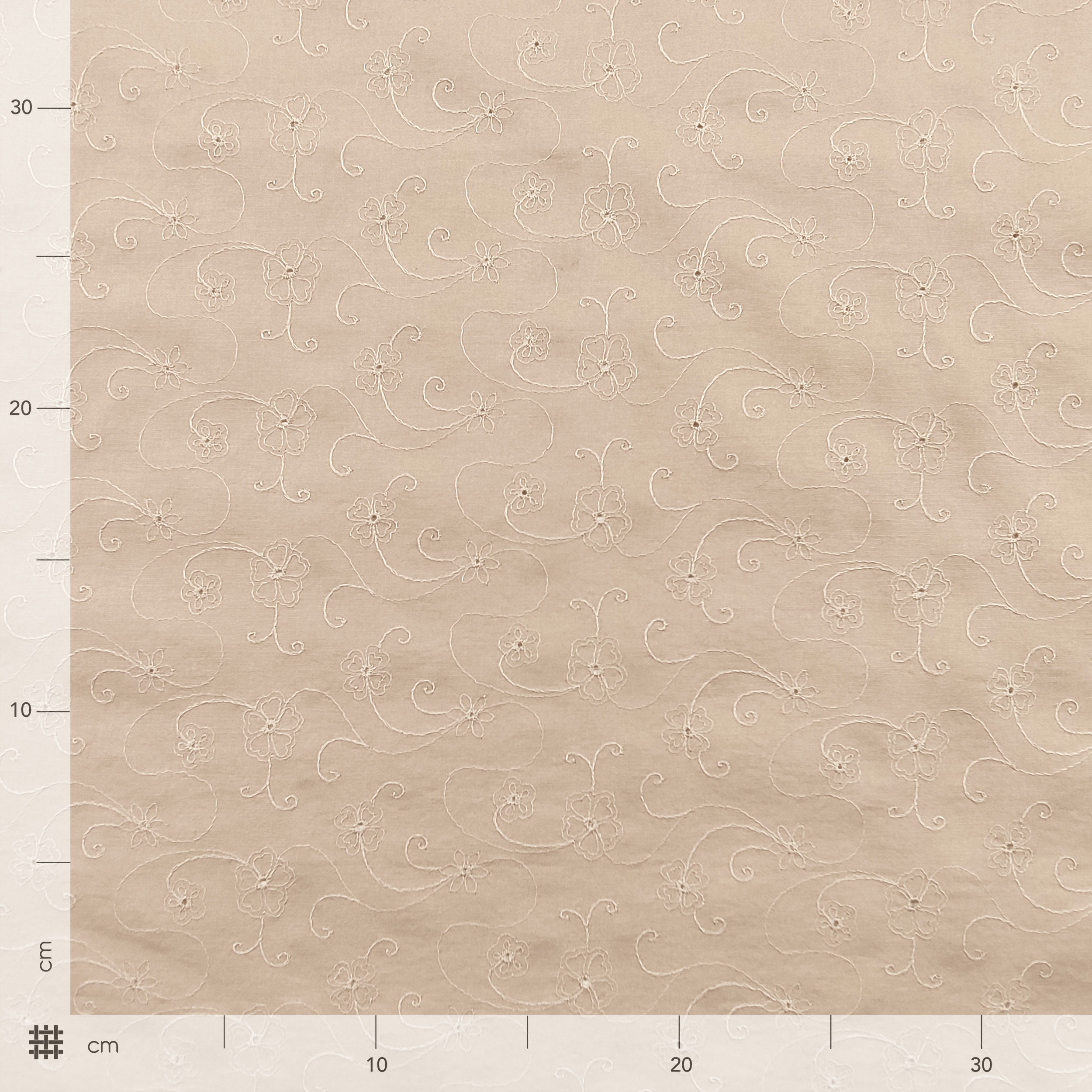Cotone Sangallo Beige