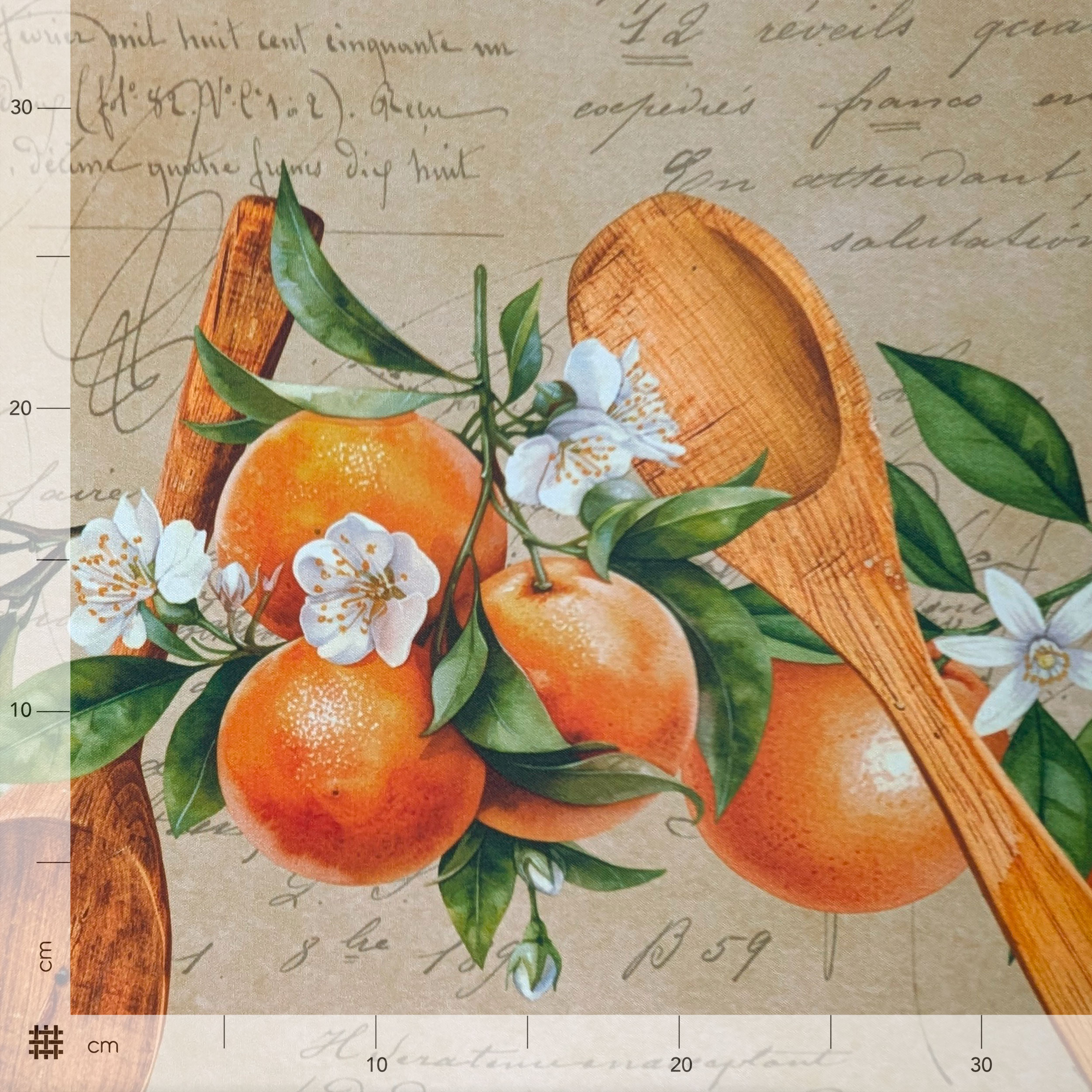 Passatoia da Cucina Agrumi Image