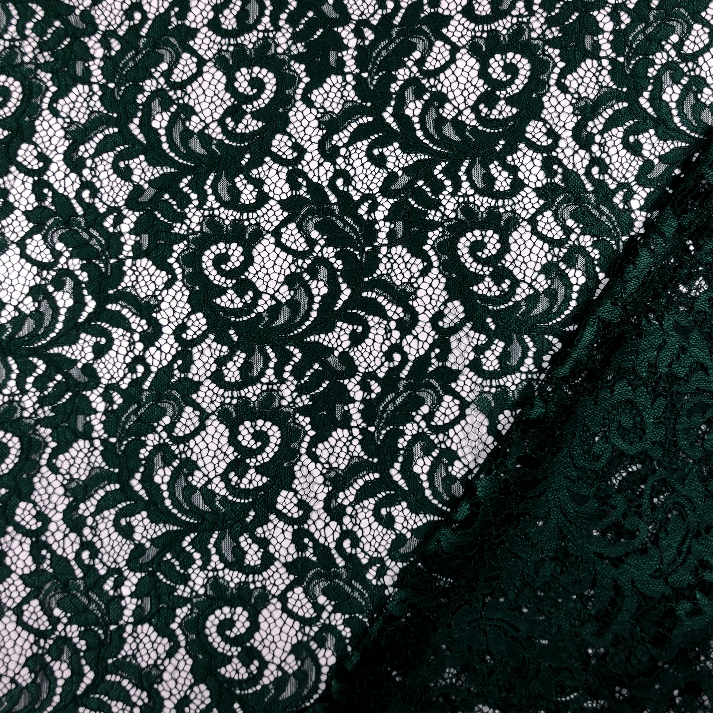 Pizzo Micky Image