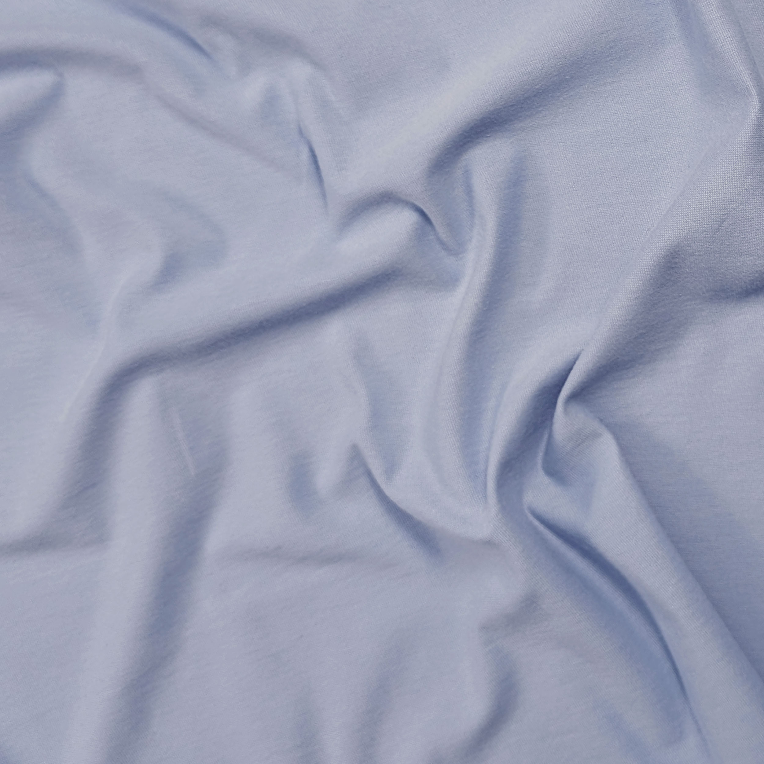 Maglina Puro Cotone Avio Chiaro Image