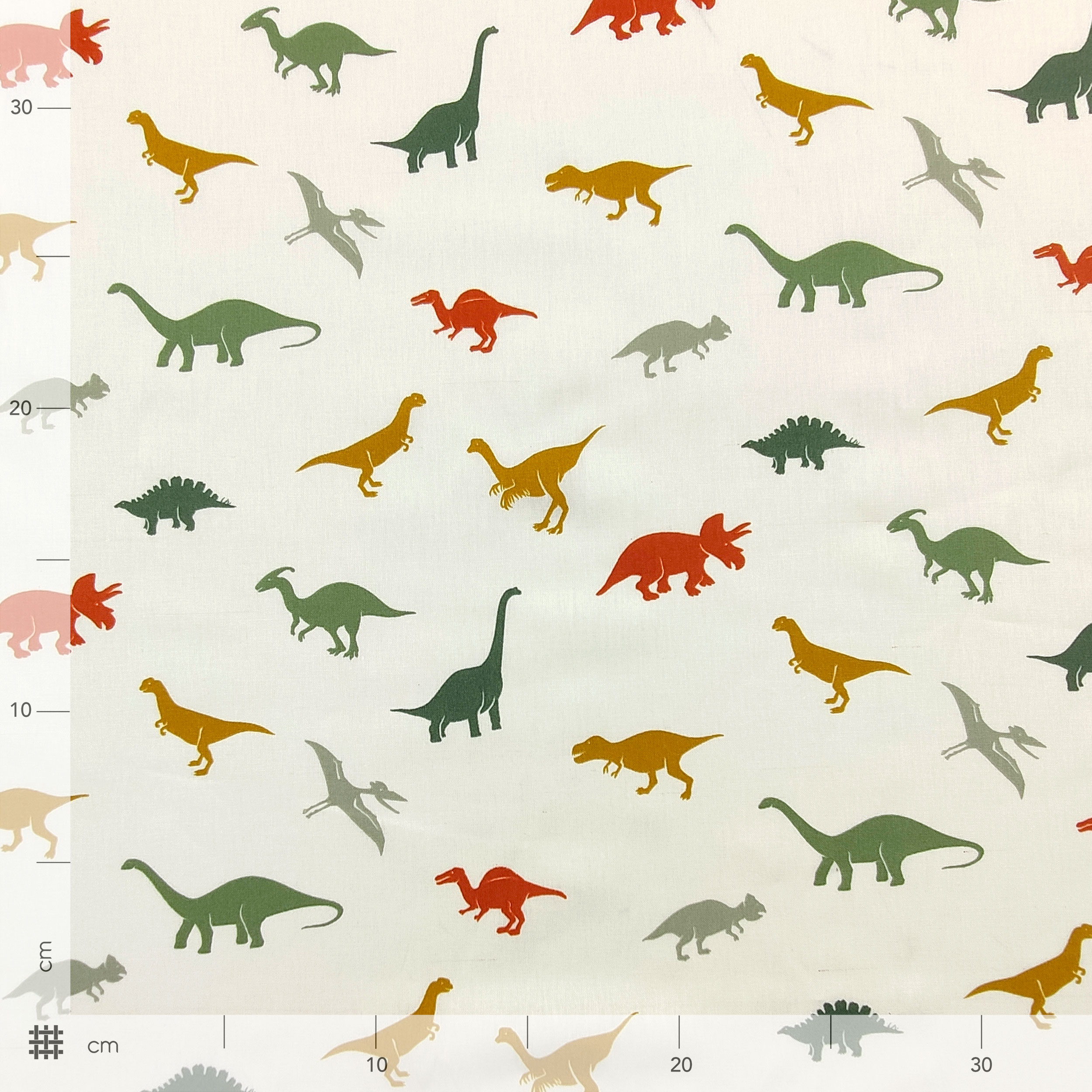 Popeline di Cotone Fantasia Dinosauri Image