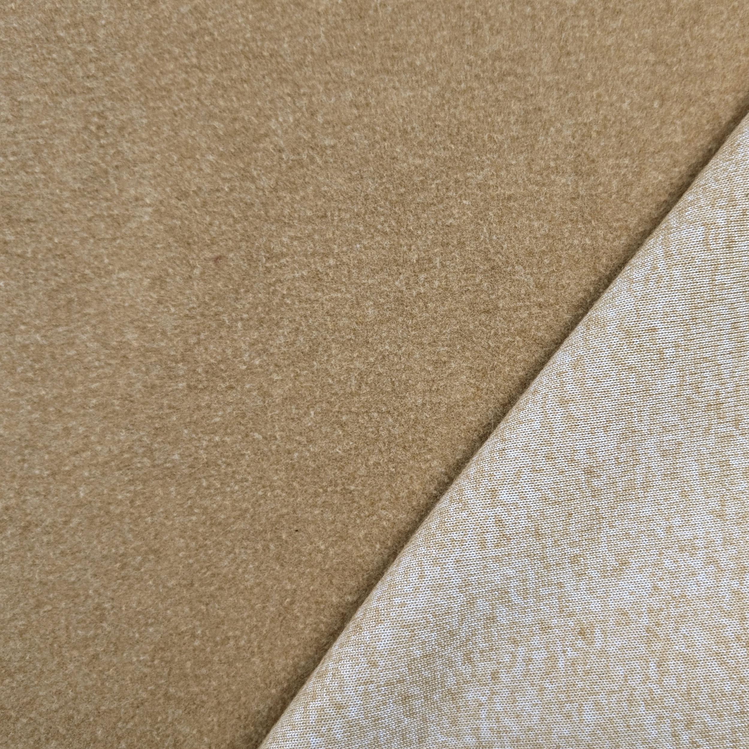 Lana Cotta Pesante Beige Image