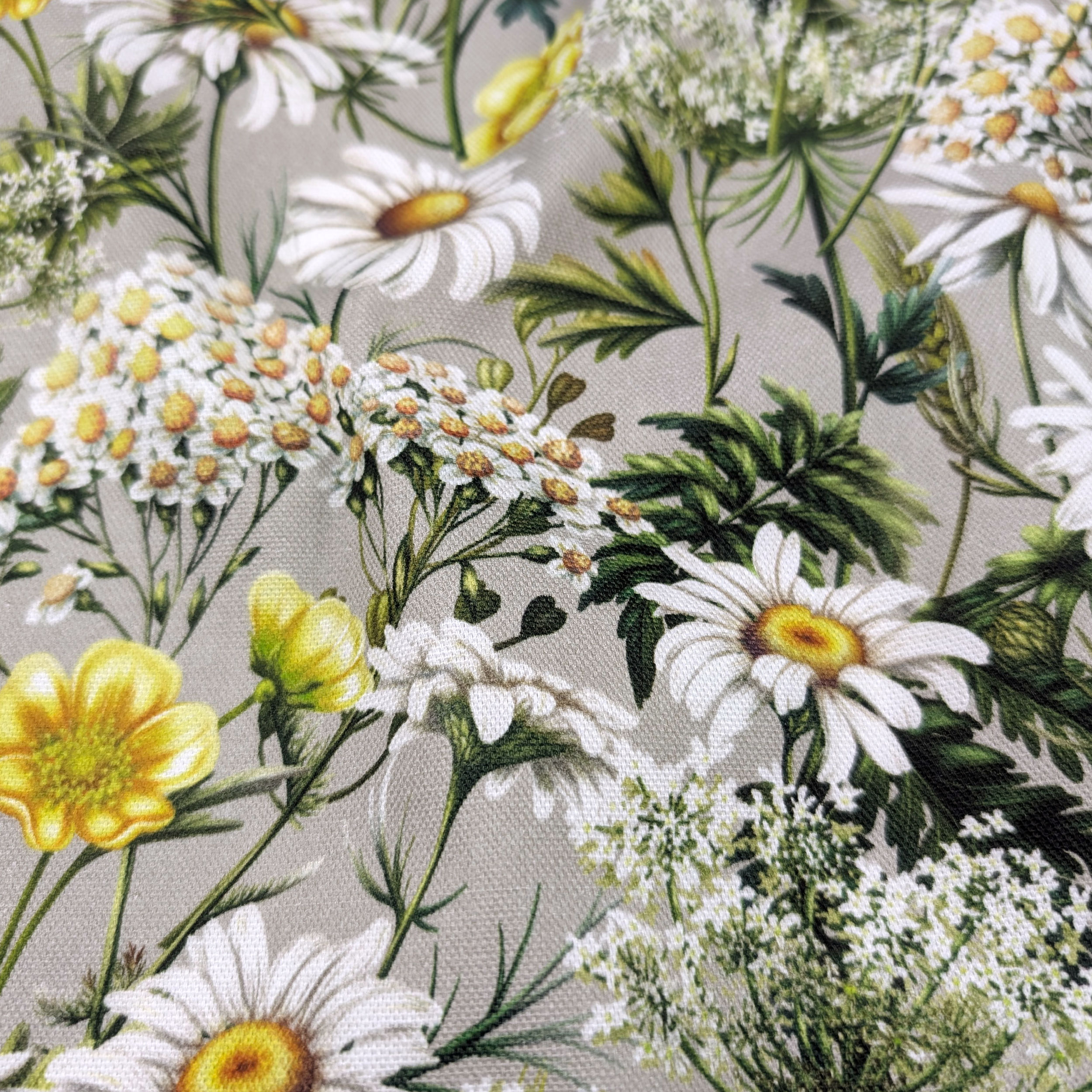Panama Margherite e Fiori Primaverili Image