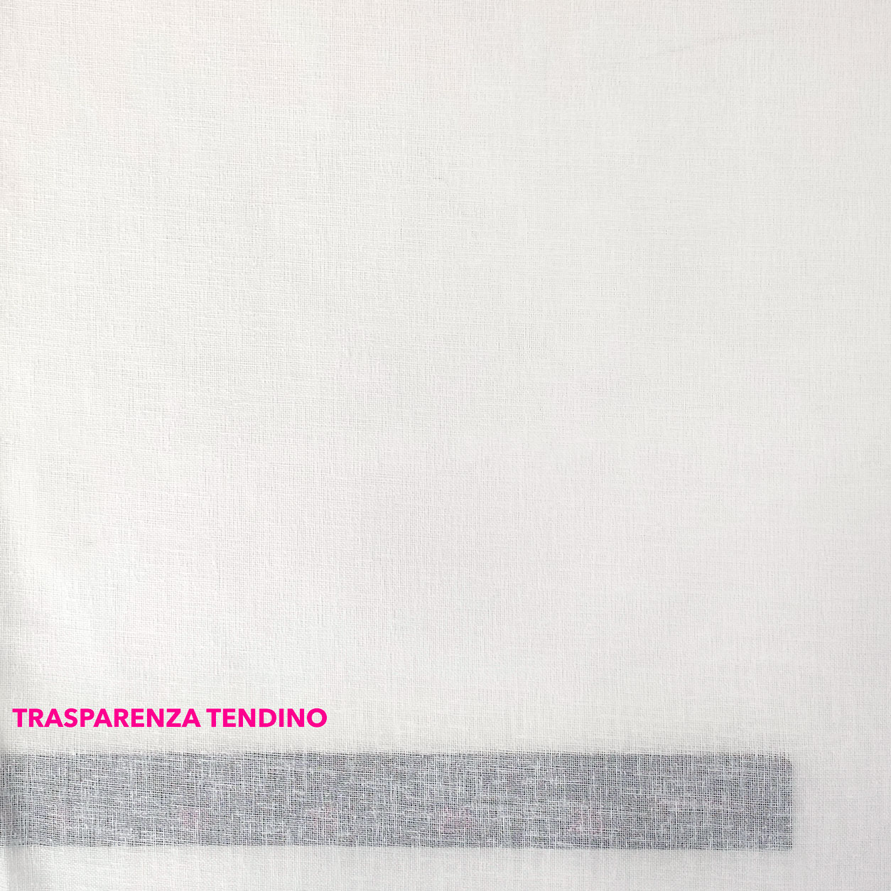 tendino-semitrasparente-online-ajour-bianco