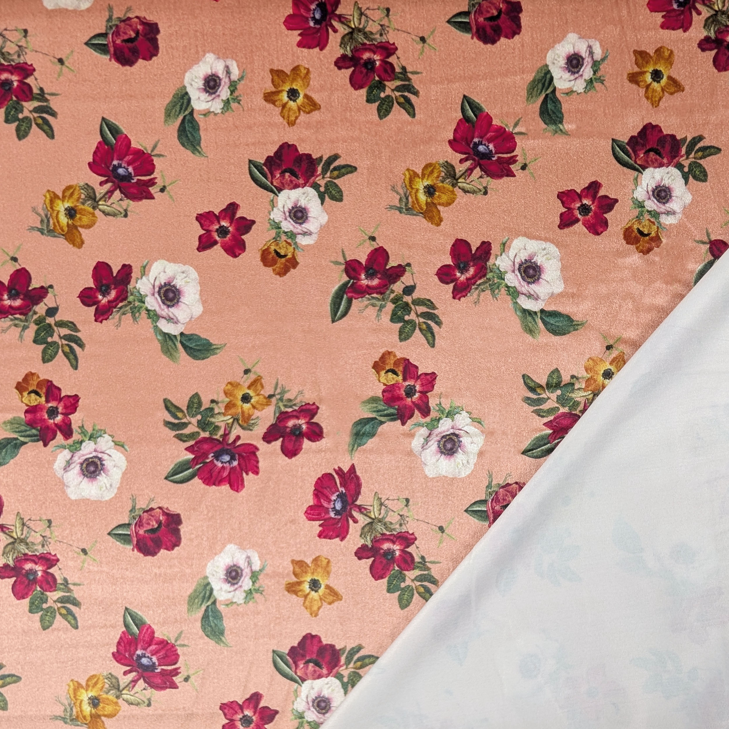 Vellutina Floreale Sfondo Rosa Image