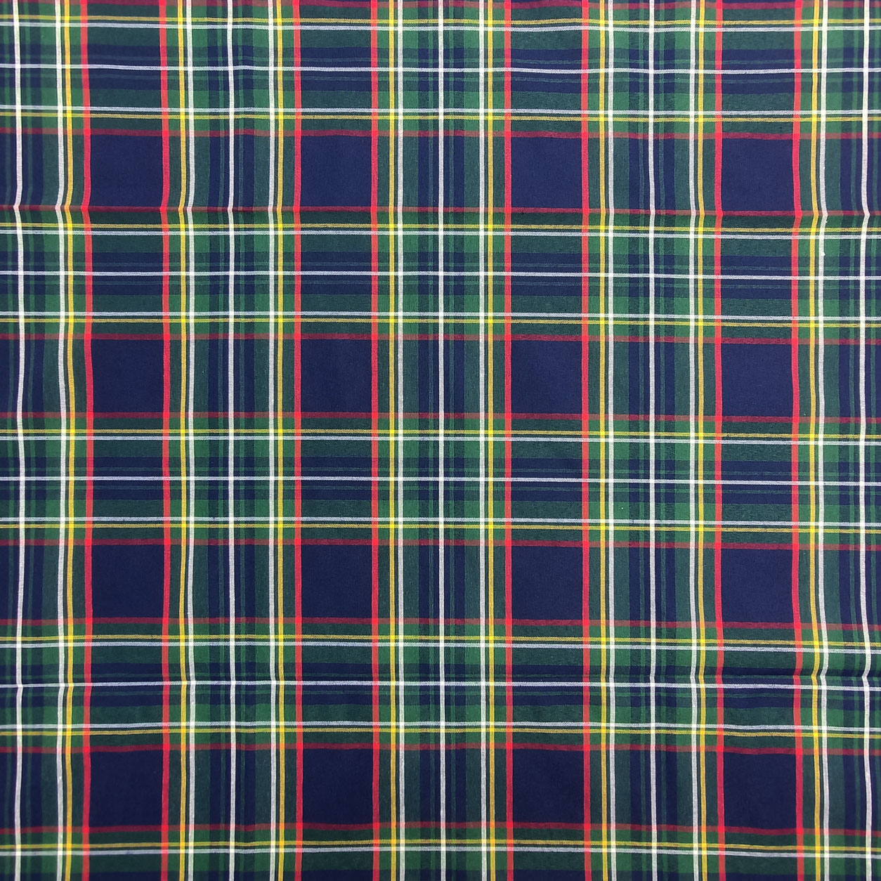 tovaglia tartan blu (3)