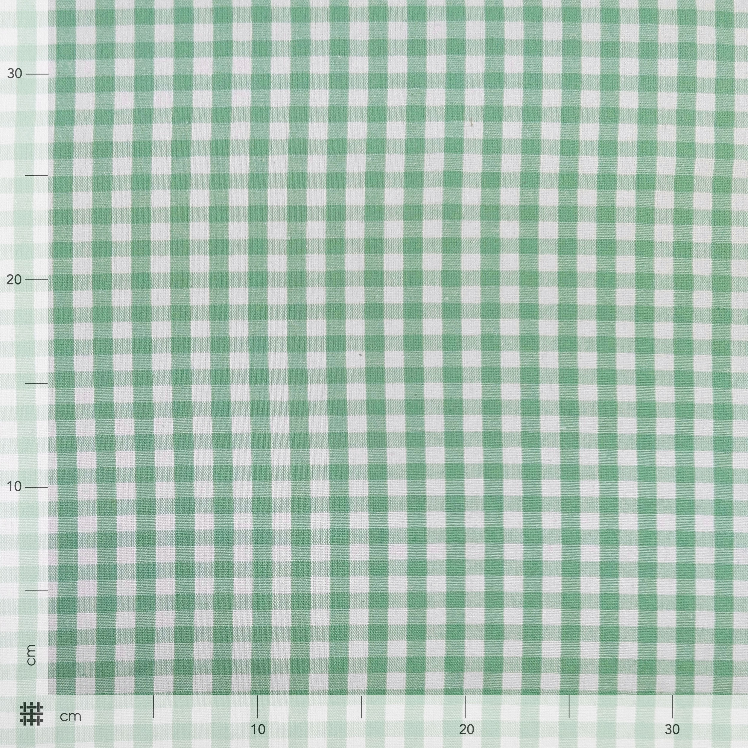 Cotone Lavato Tinto in Filo Quadretti Menta Image