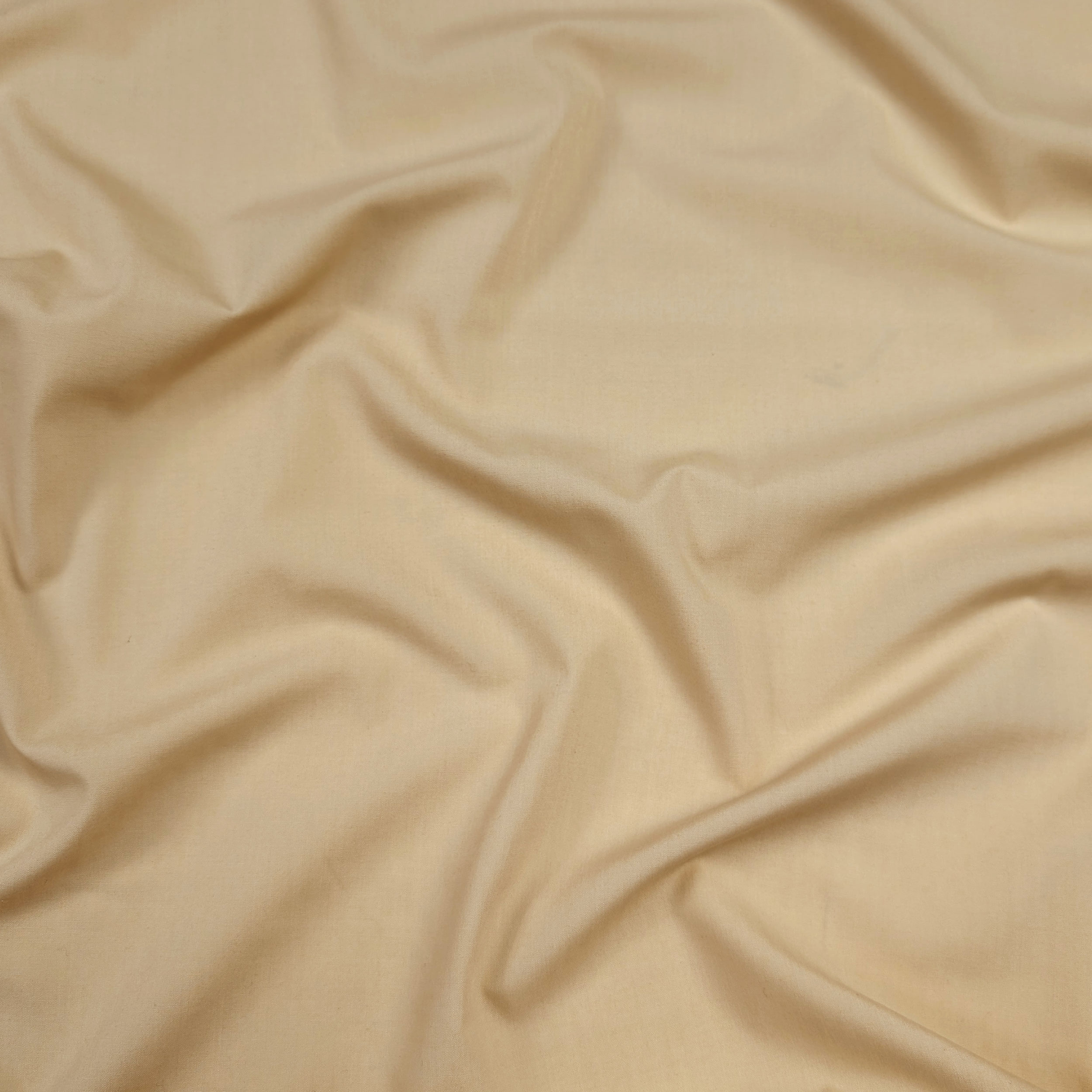 Misto Cotone Beige Chiaro Image