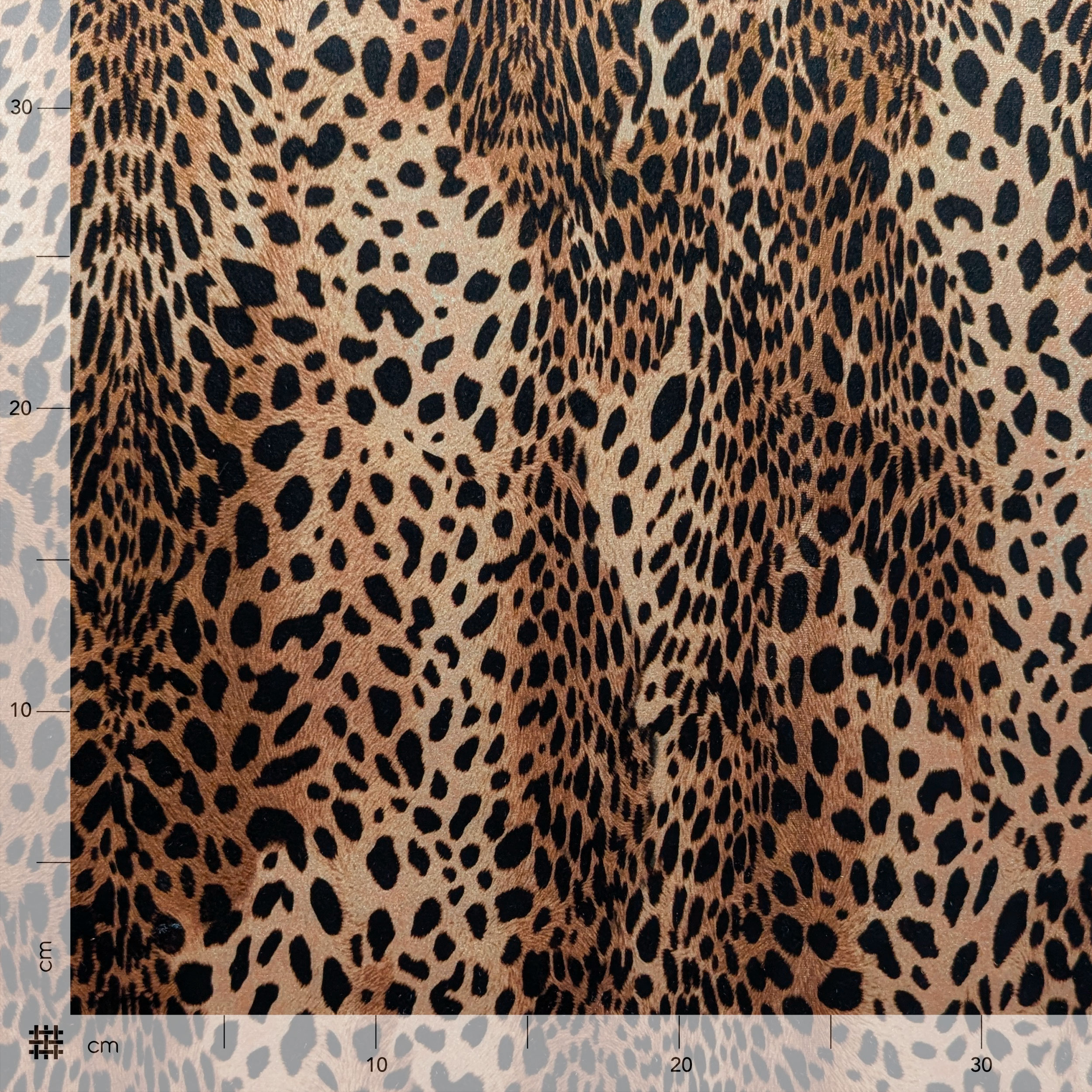 Vellutina Setata Moda Leopardata Image