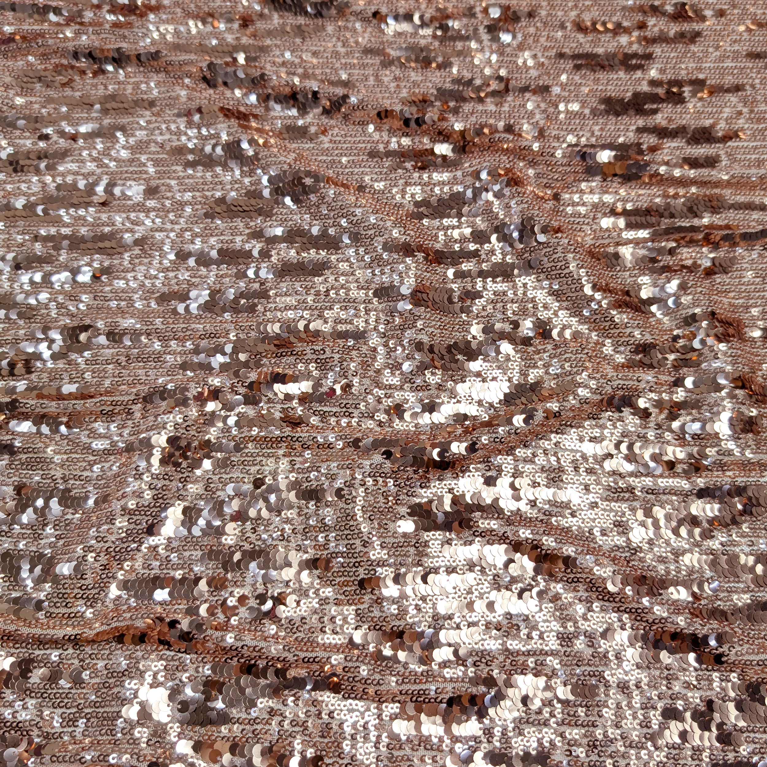 Rosa - H688