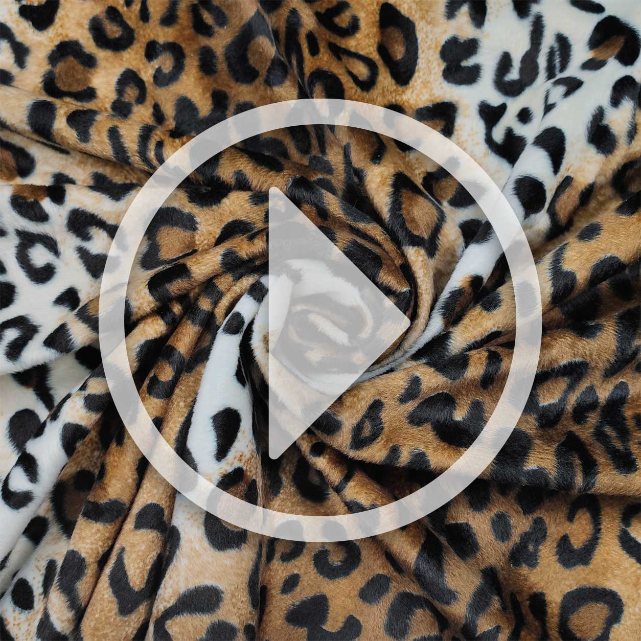 cavallino leopardato video