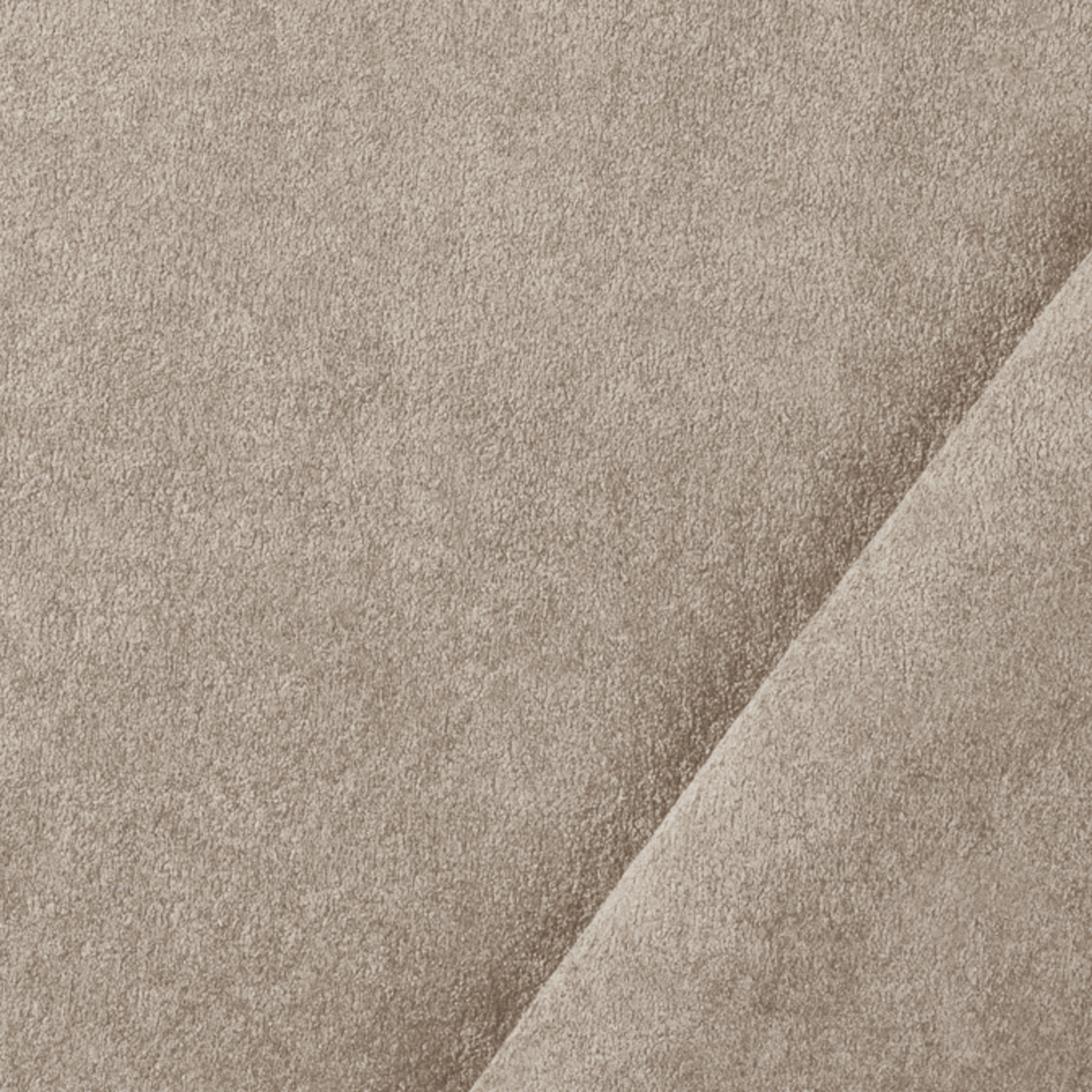 Tortora - 04