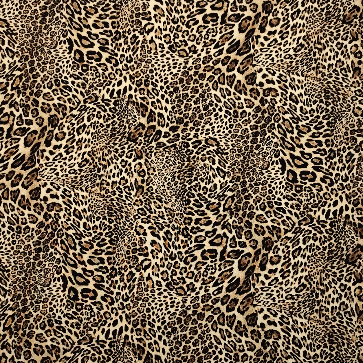 cady-animalier-leopardato