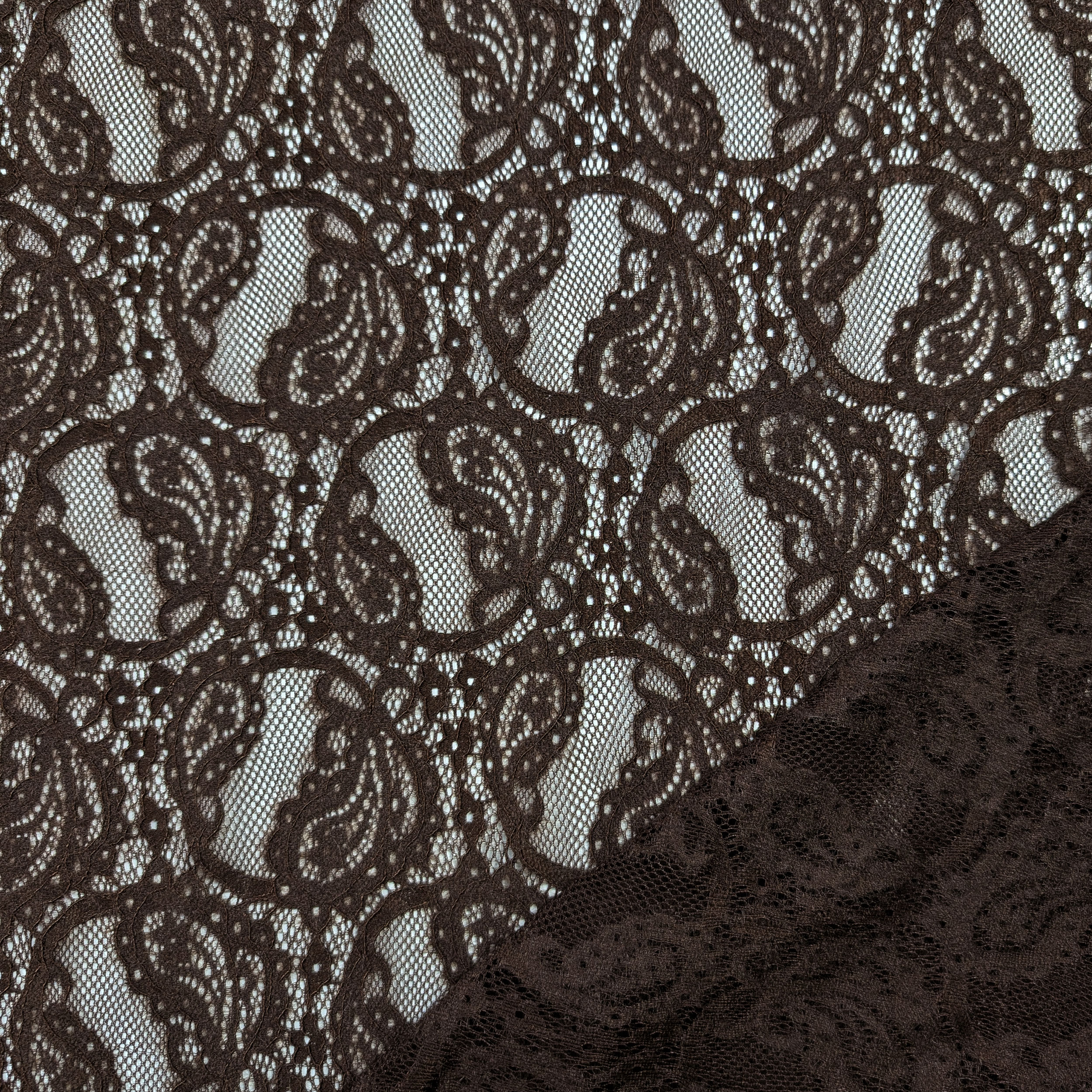Pizzo Doppio Bordo Bielastico Marrone Image