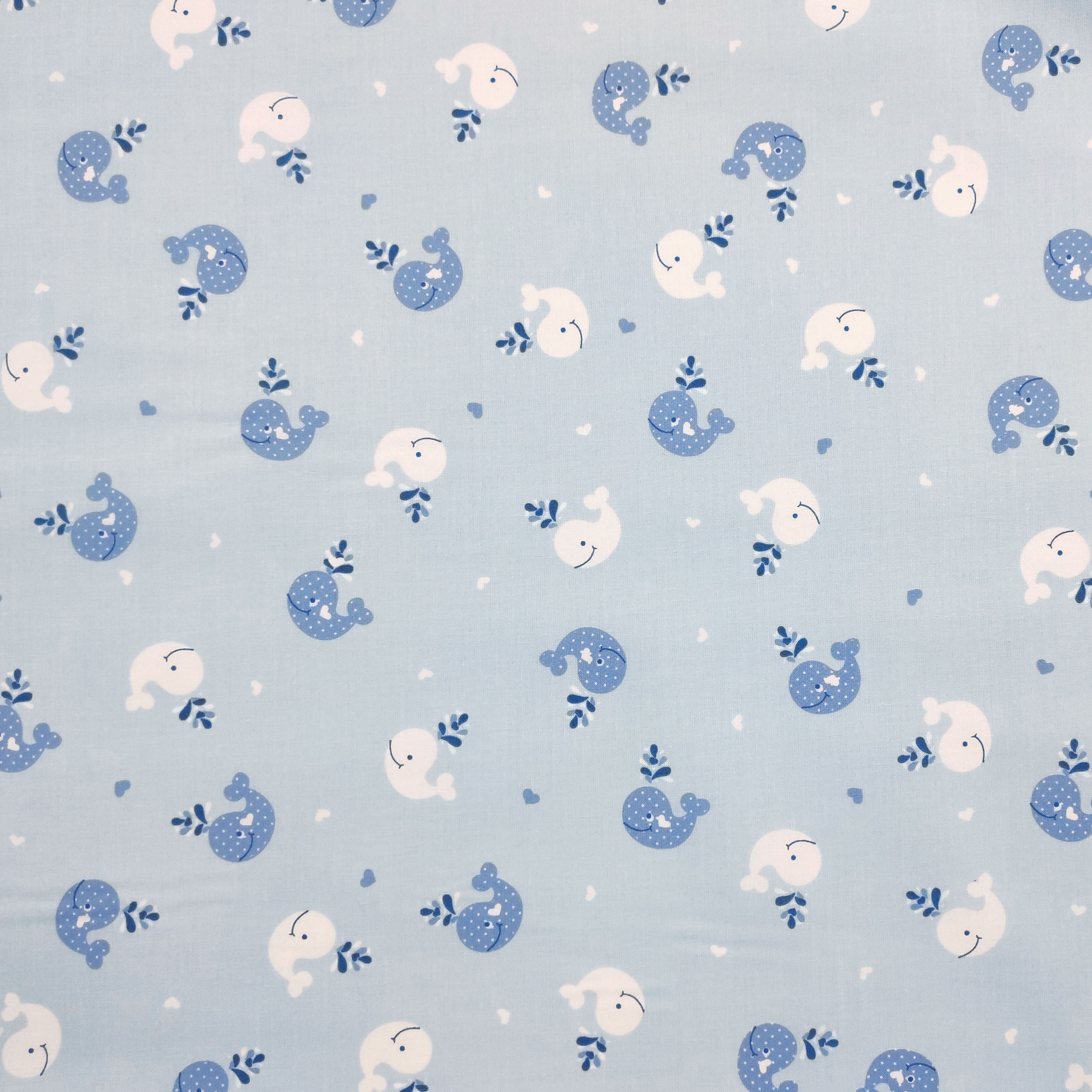 Cotone Balene Sfondo Celeste