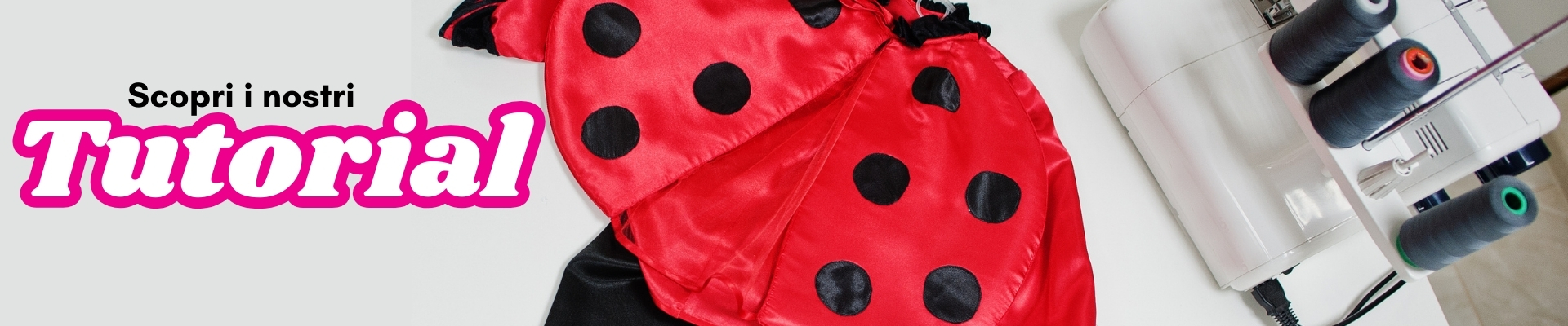 Scopri i tutorial carnevale di panini tessuti