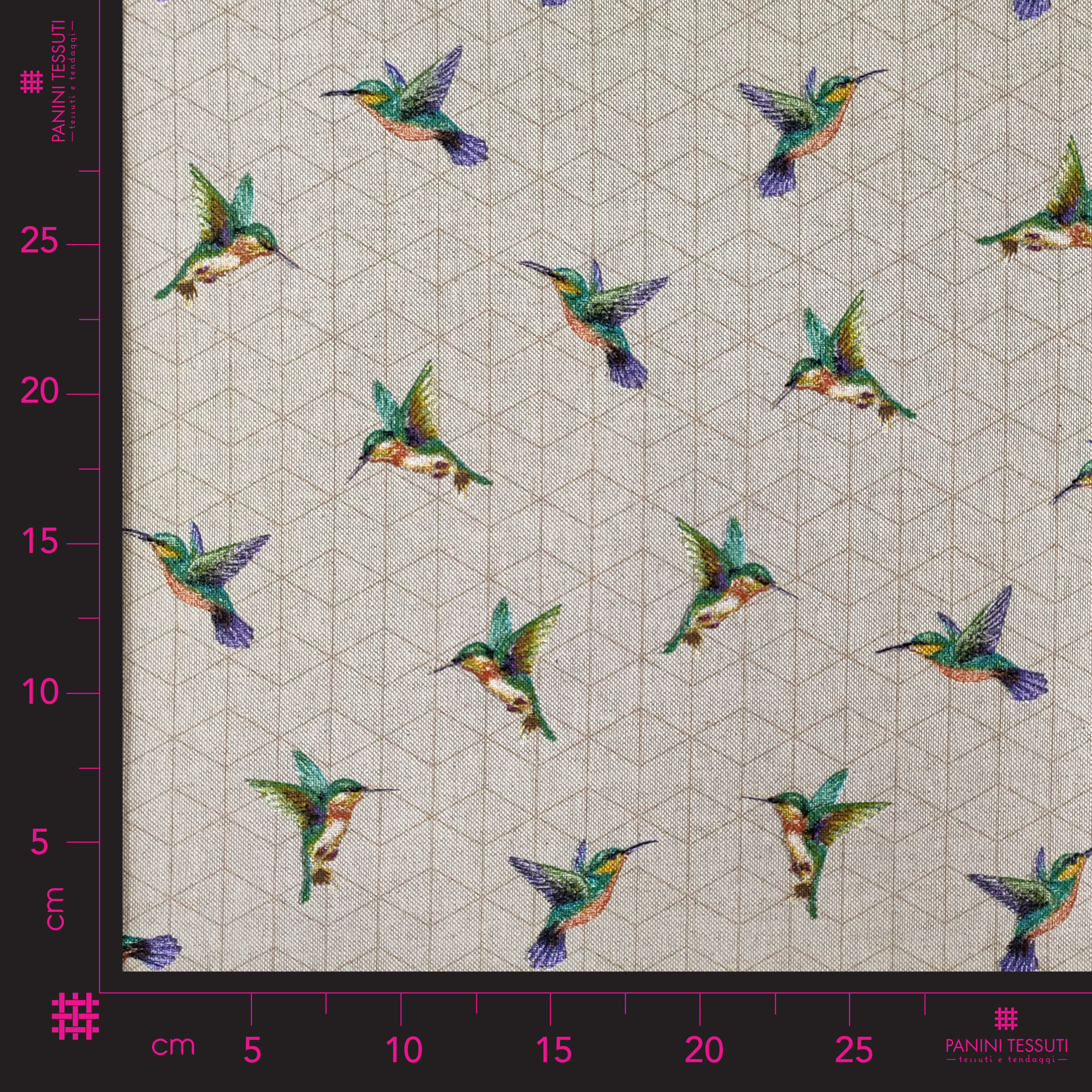 Fantasia colibri